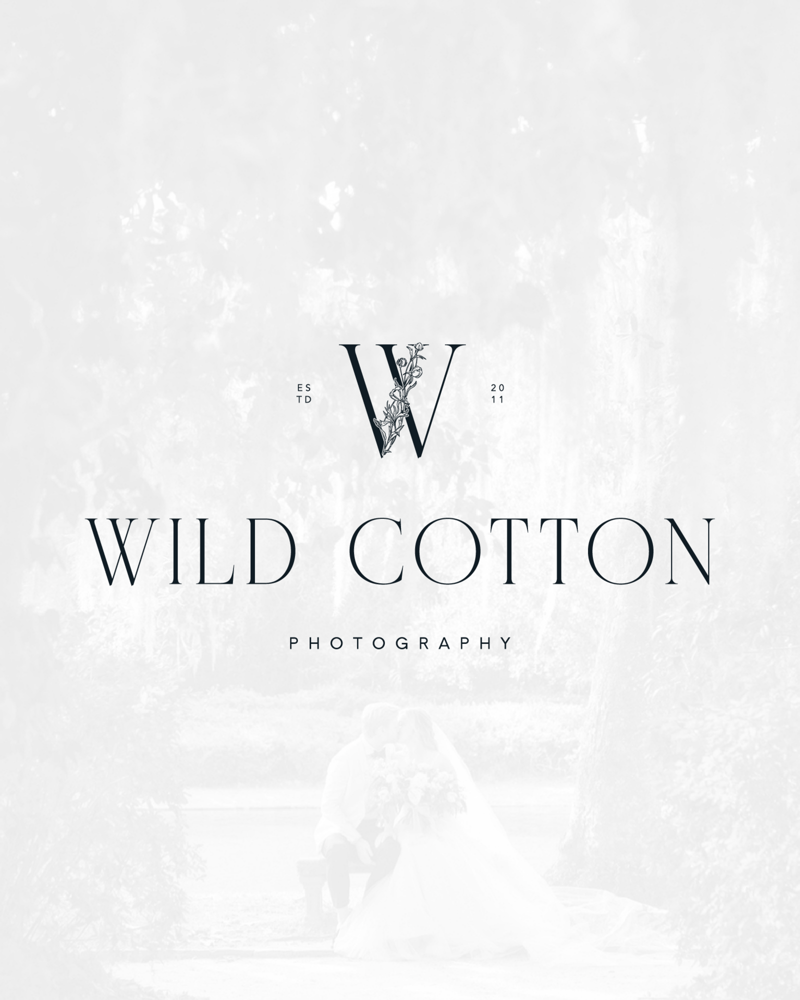 Wild Cotton Photography Logo