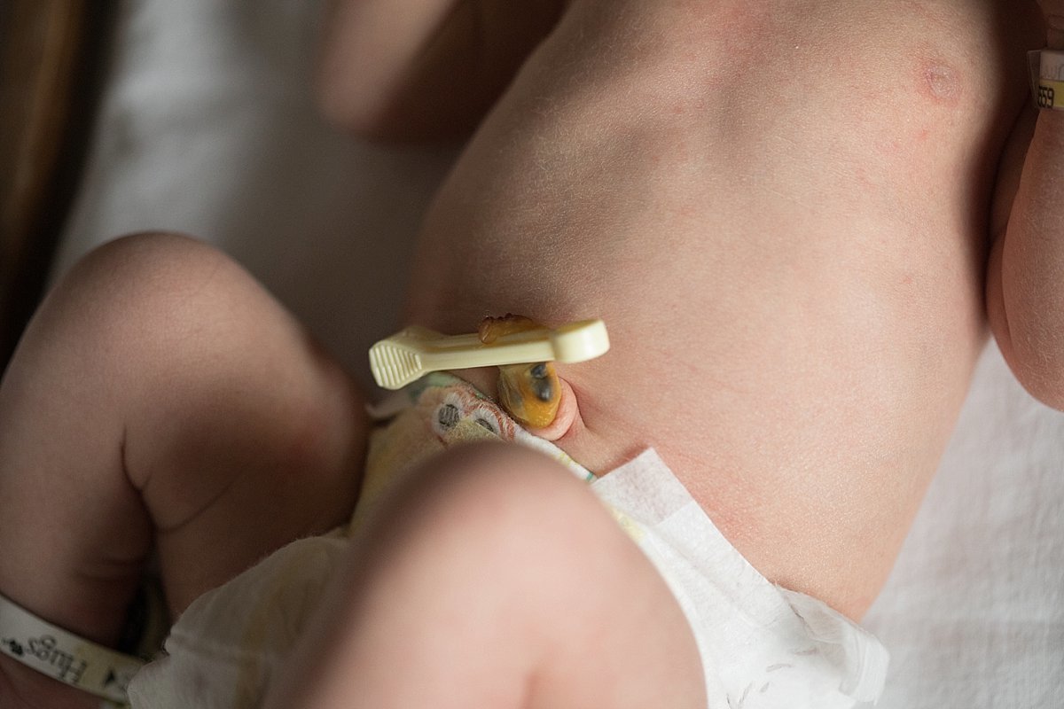 graham-fresh48047 copy