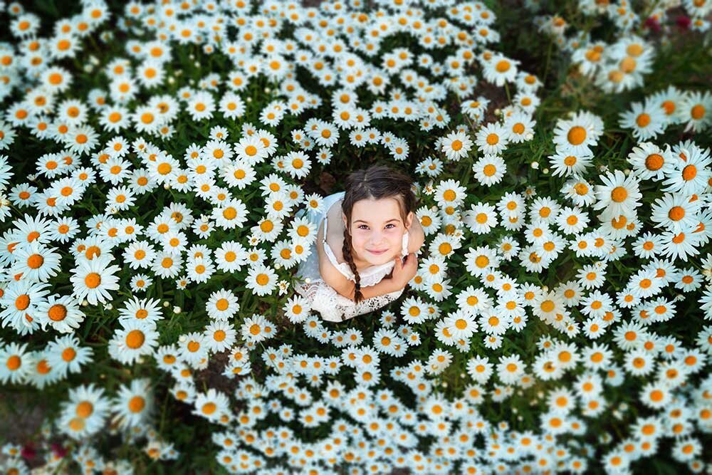sweet-loving-little-girl-daisy-flower-filed-dreamy-bright-colorful-photographer-colorado
