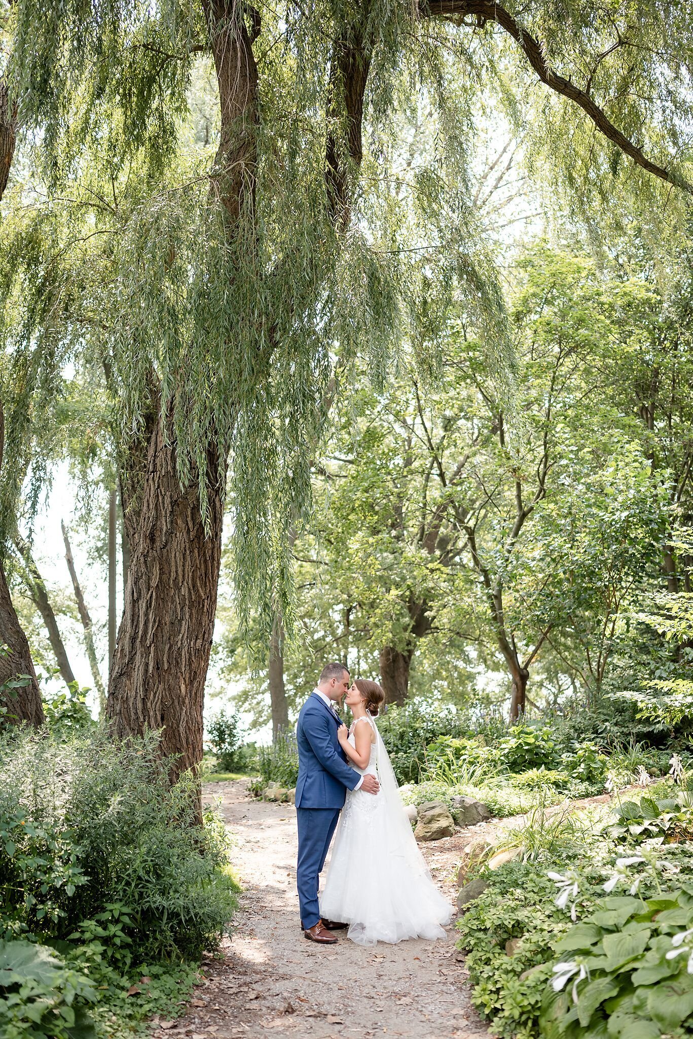 Groom-embraces-his-bride-under-a-large-willow-tree-in-windsor-ontario