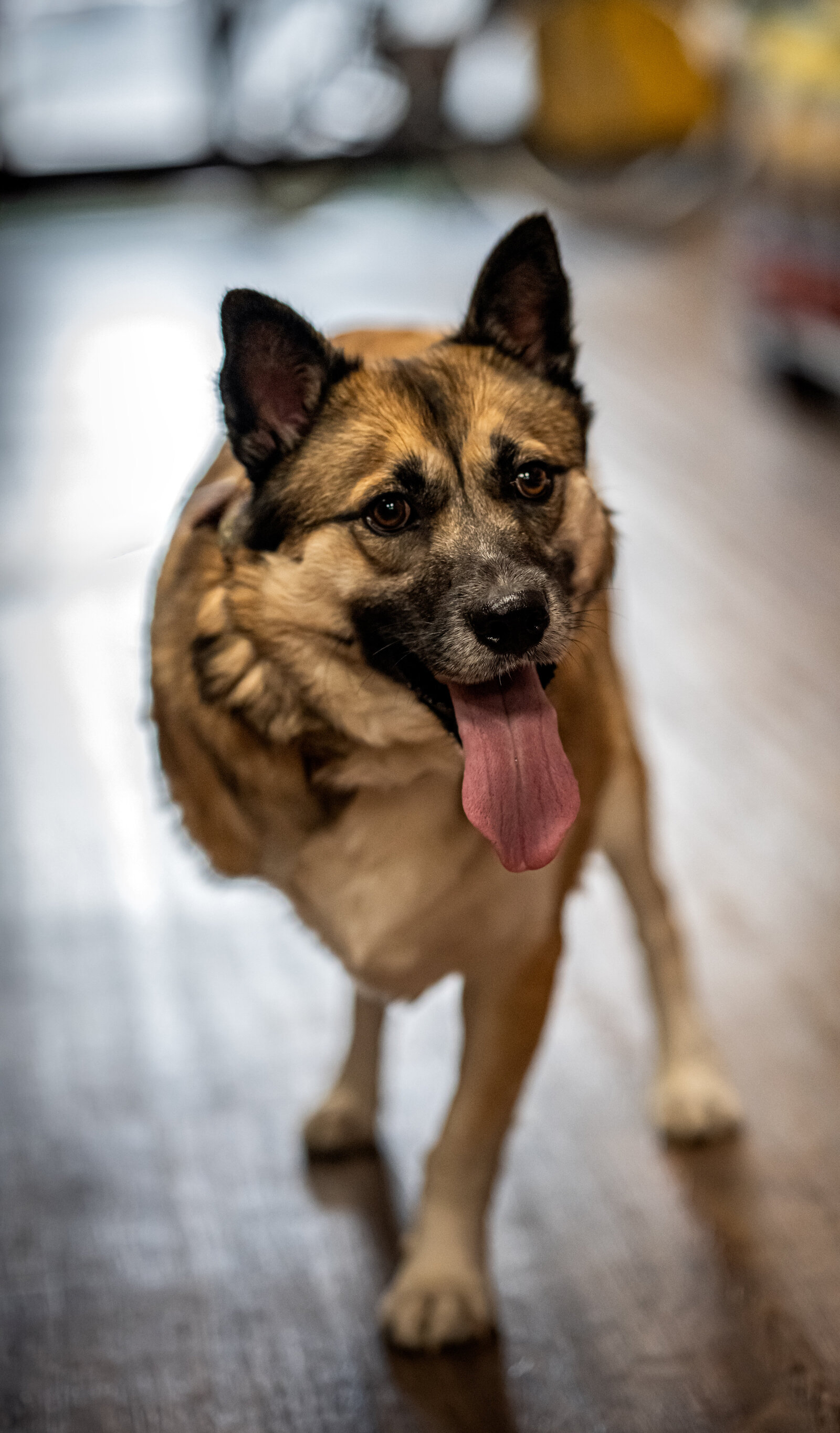 _DSC6791