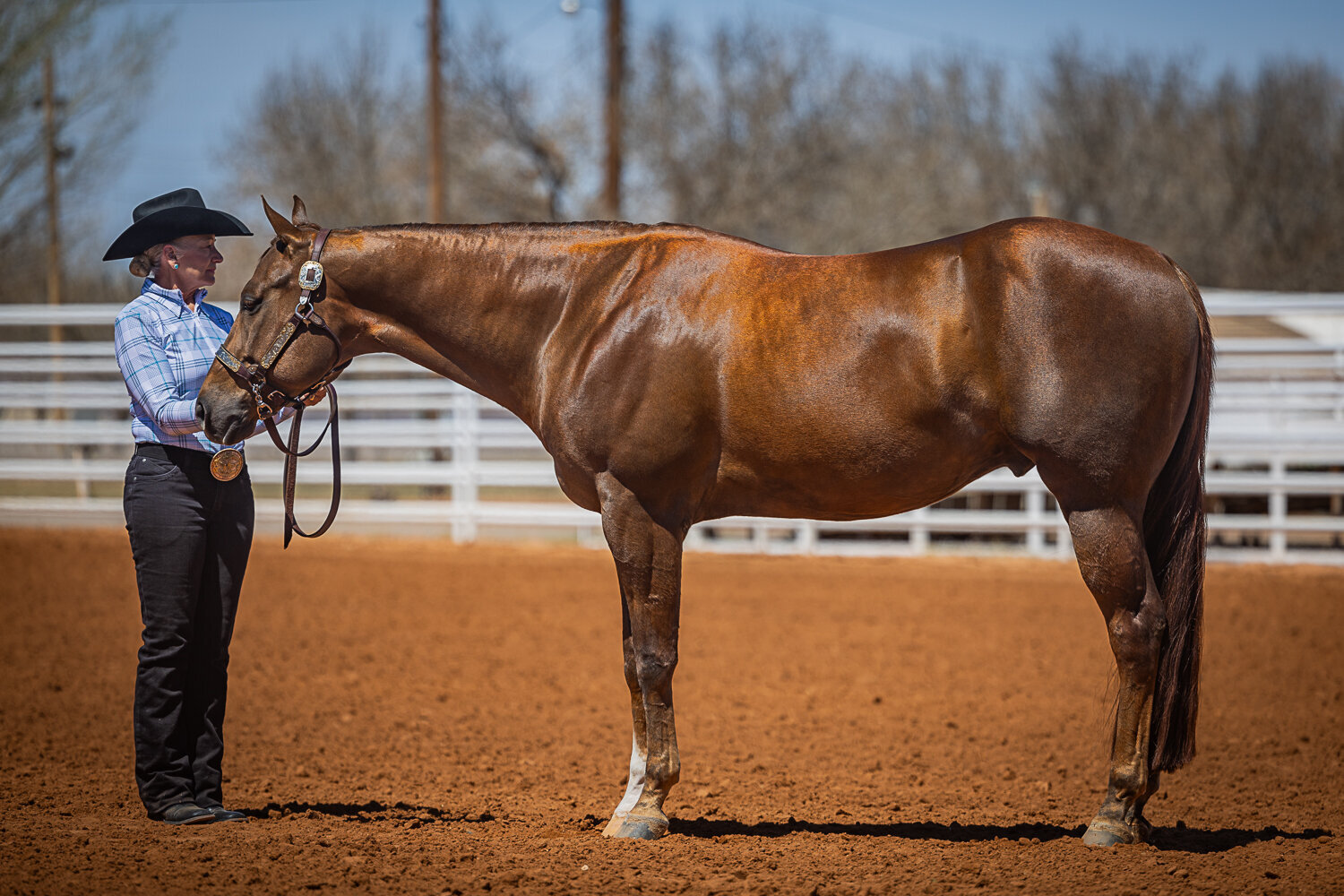 New-Mexico-Horse-Show-Photographer-036
