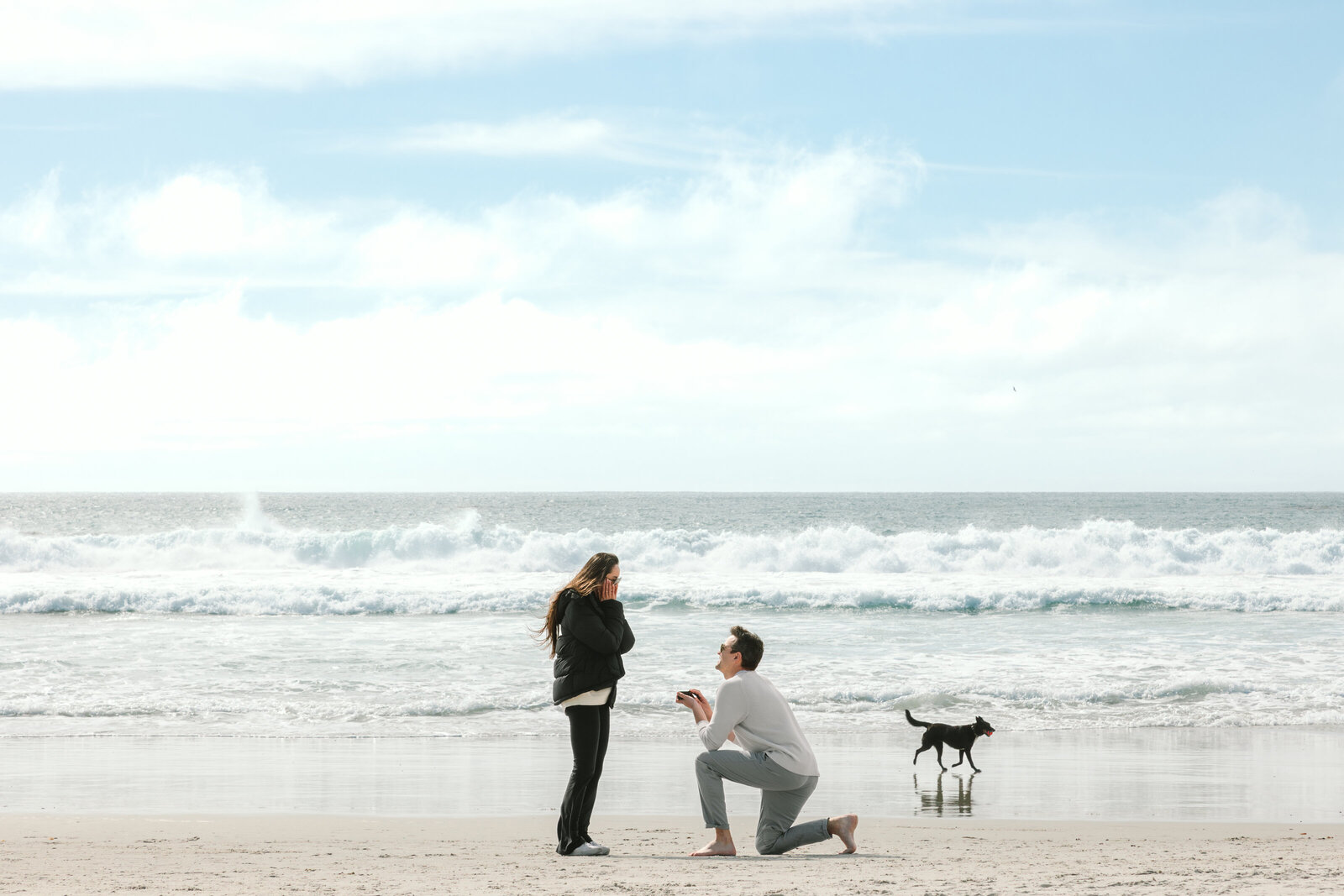 Cingari Monterey Proposal 25