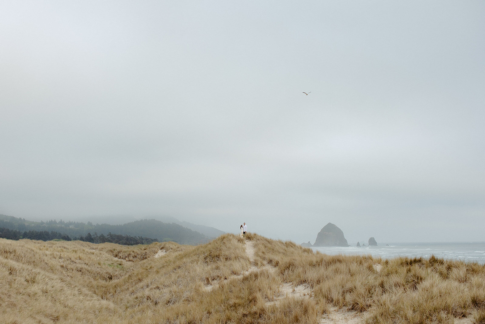 seaside-elopement-8_websize