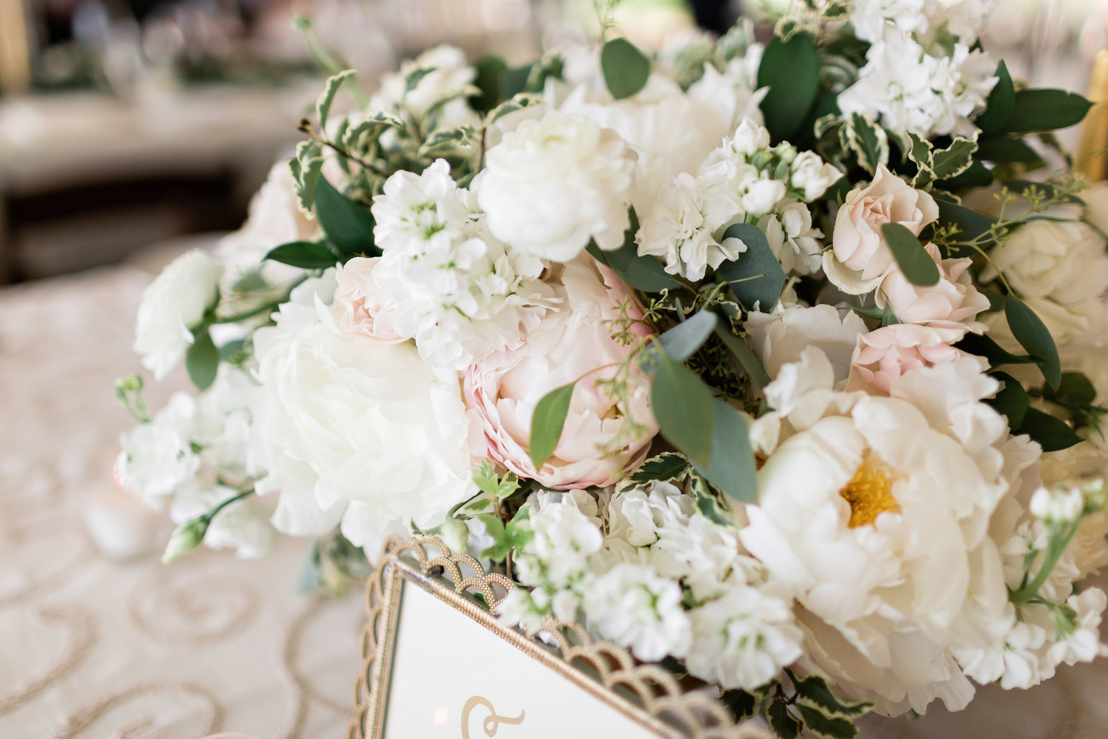 ANTHONY_STEPHANIE1229