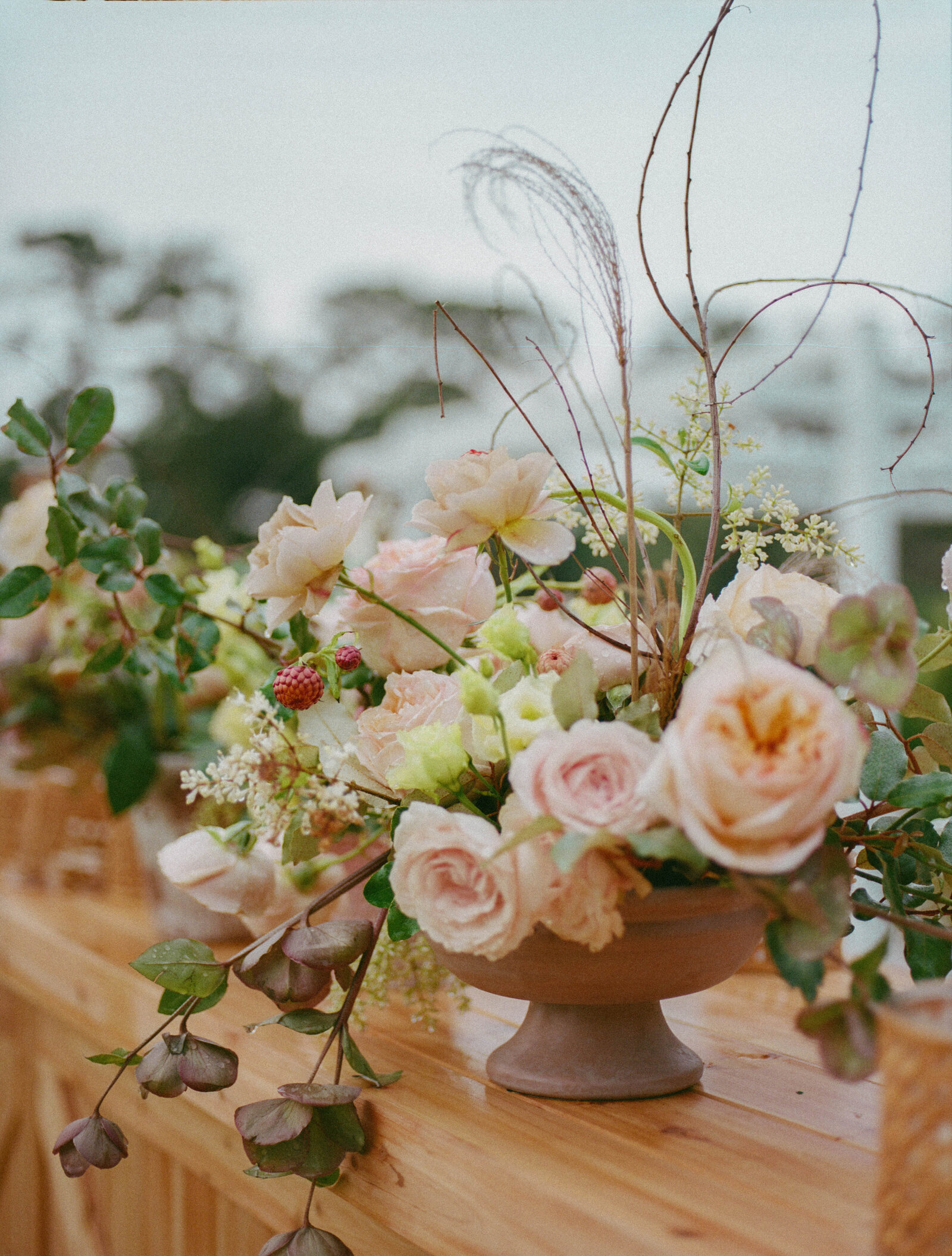 sailcloth tent wedding; sailcloth tent wedding, Blossoms Events Florals, Mariee Ami wedding planner, Eccentric florals, Lindsey Whatley Photo; East Coast Documentary-Style Wedding Photographer