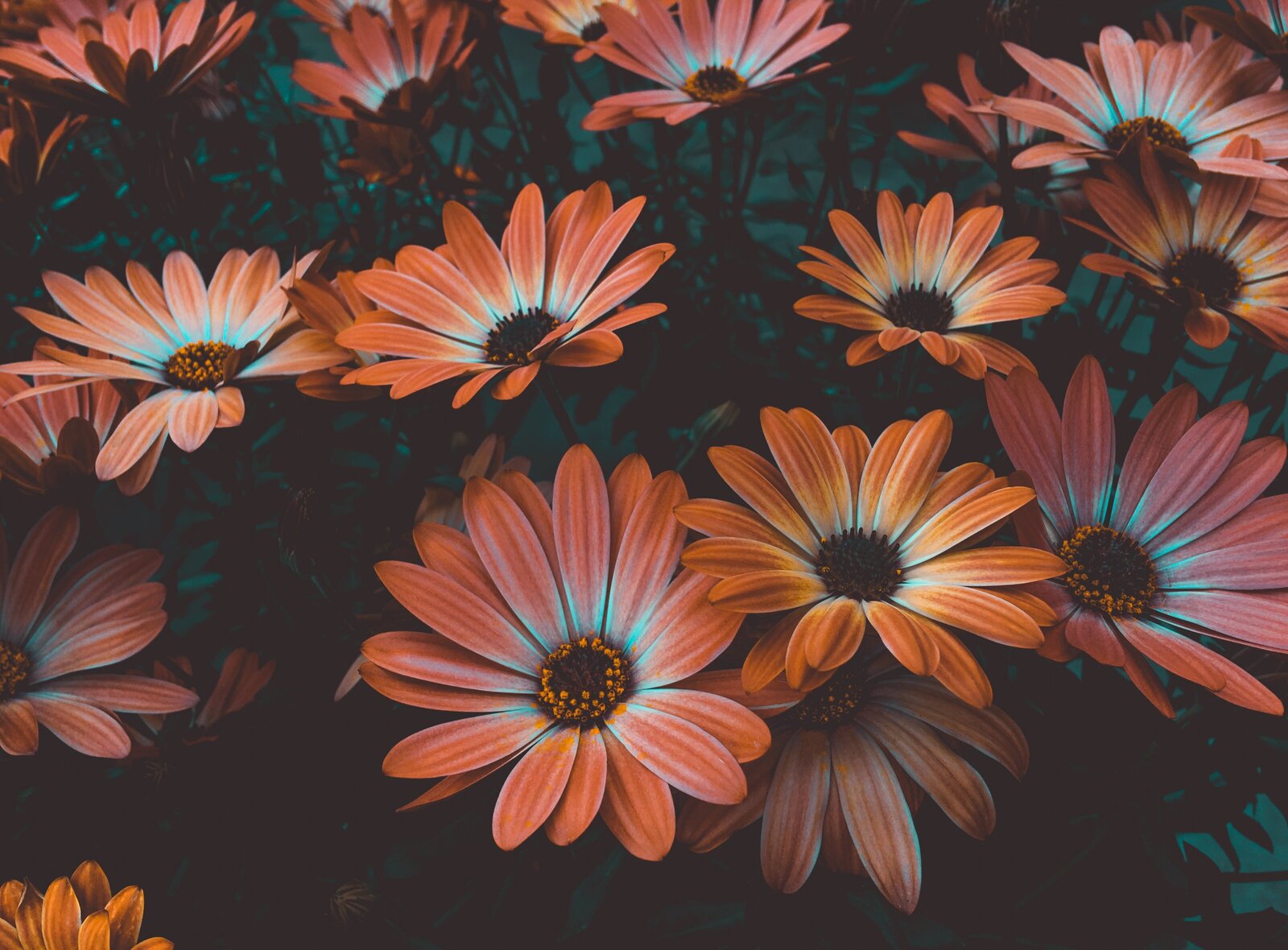 Hypnotherapist and Psychiatry in new york new hyde park