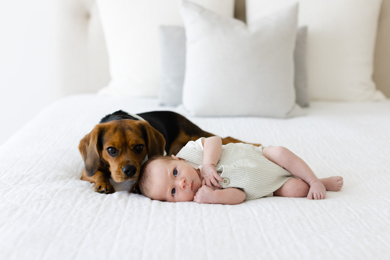 newborn baby and puppy on bed