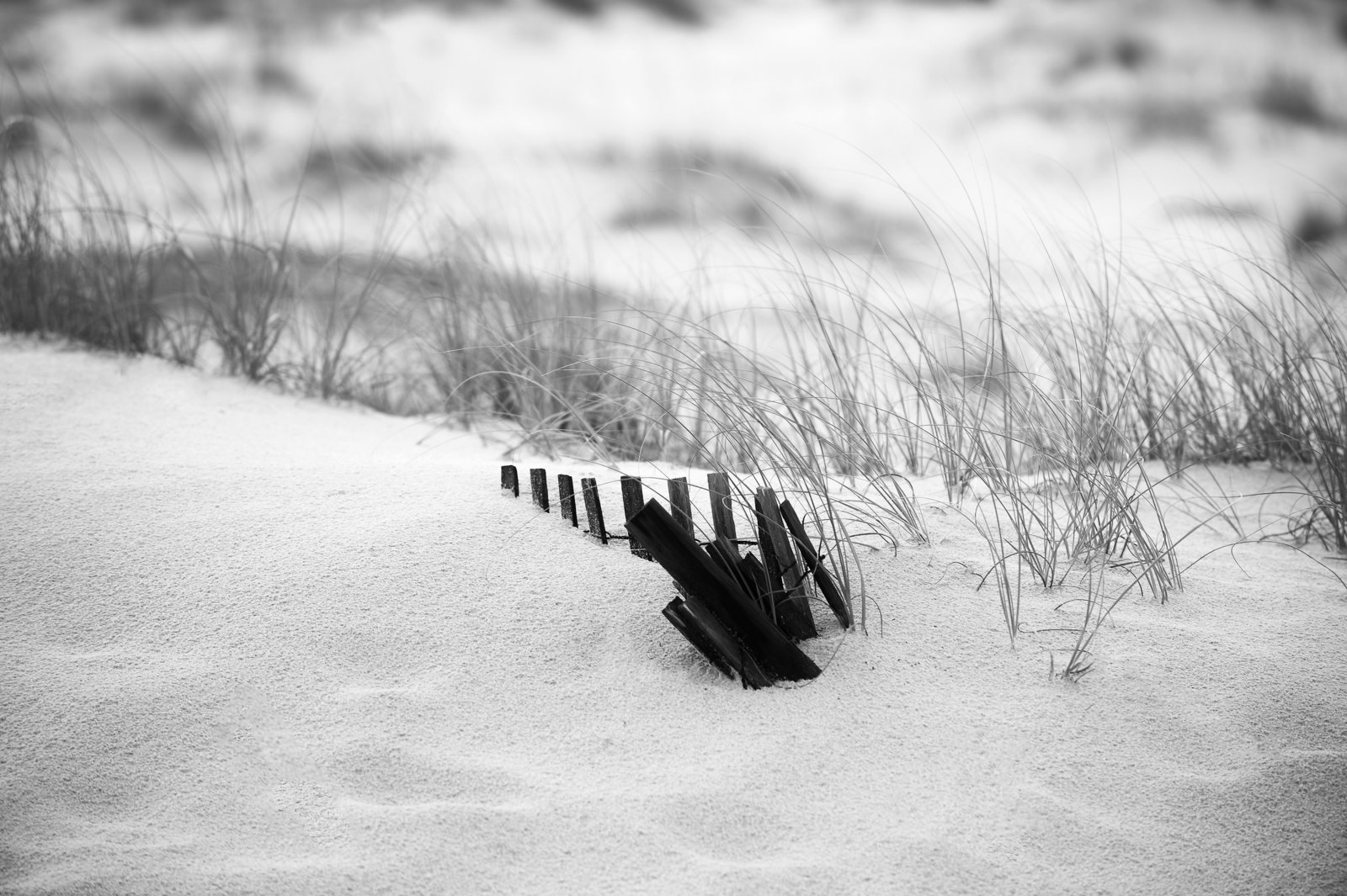 _MT28380