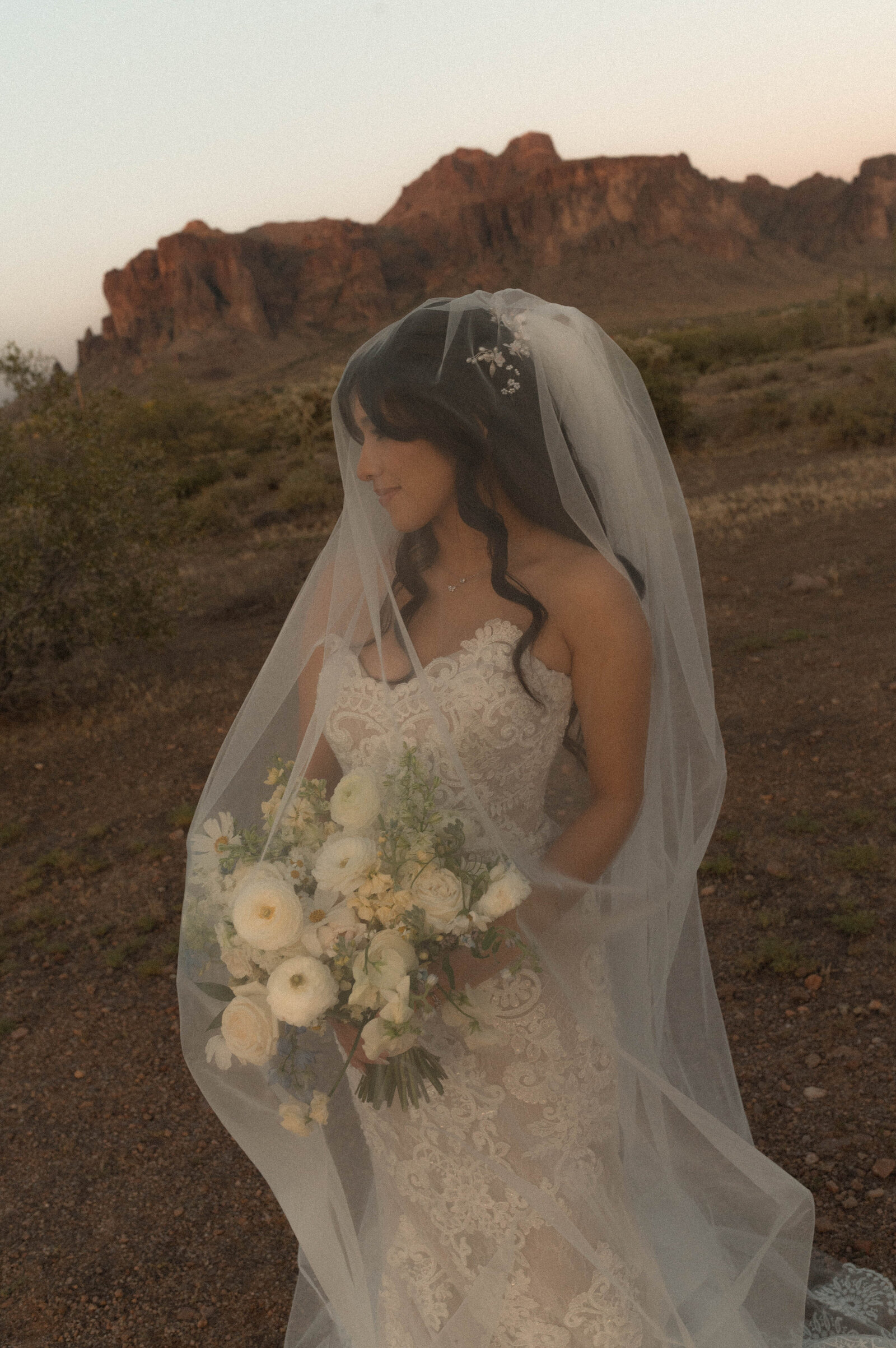 TheCarmonasWeddingAZ-1090
