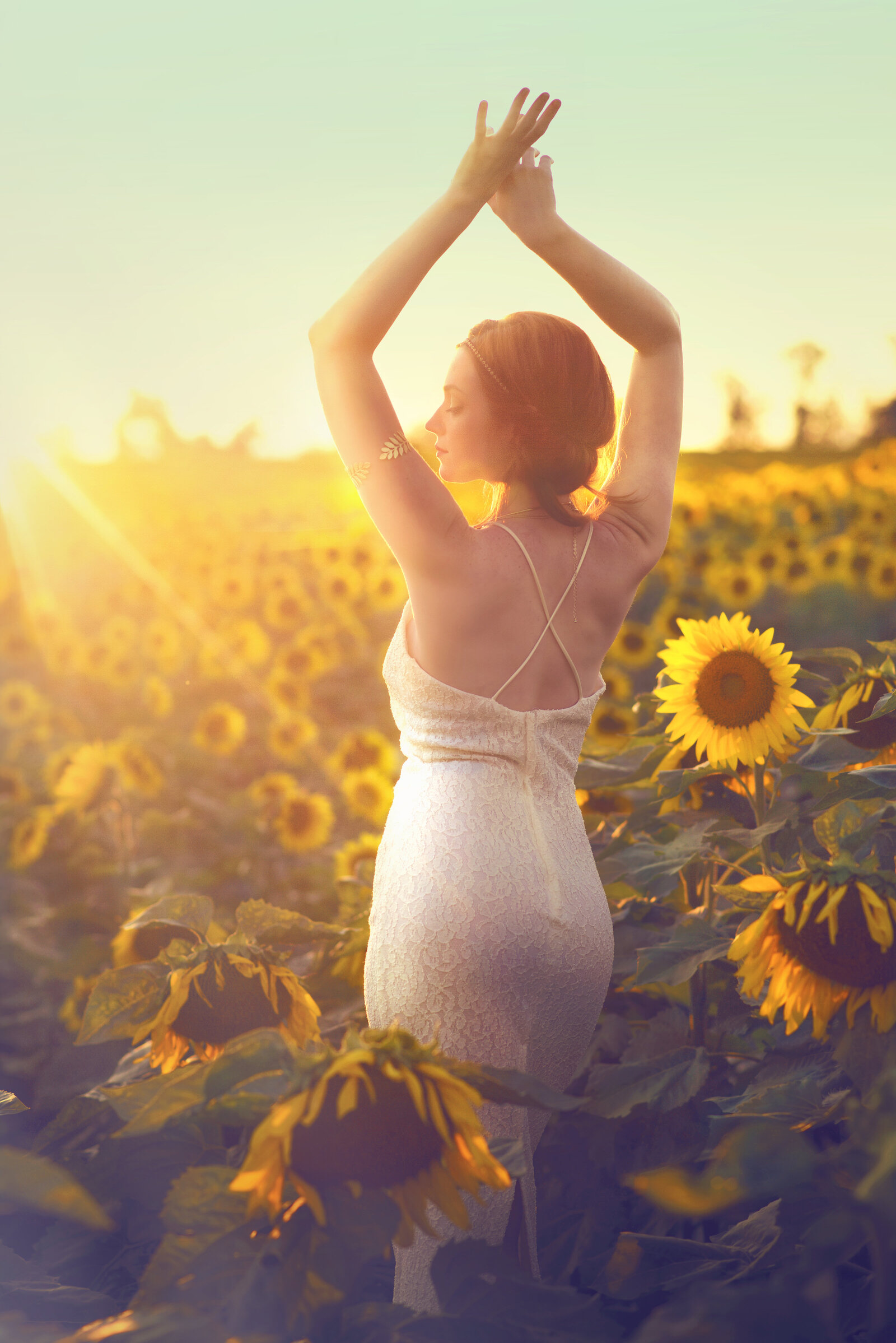 Sunflower Beauty