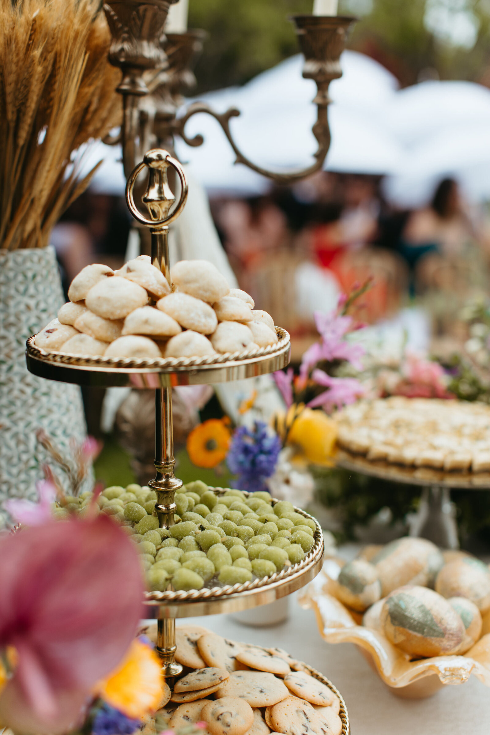 Persian Sonoma Wedding69