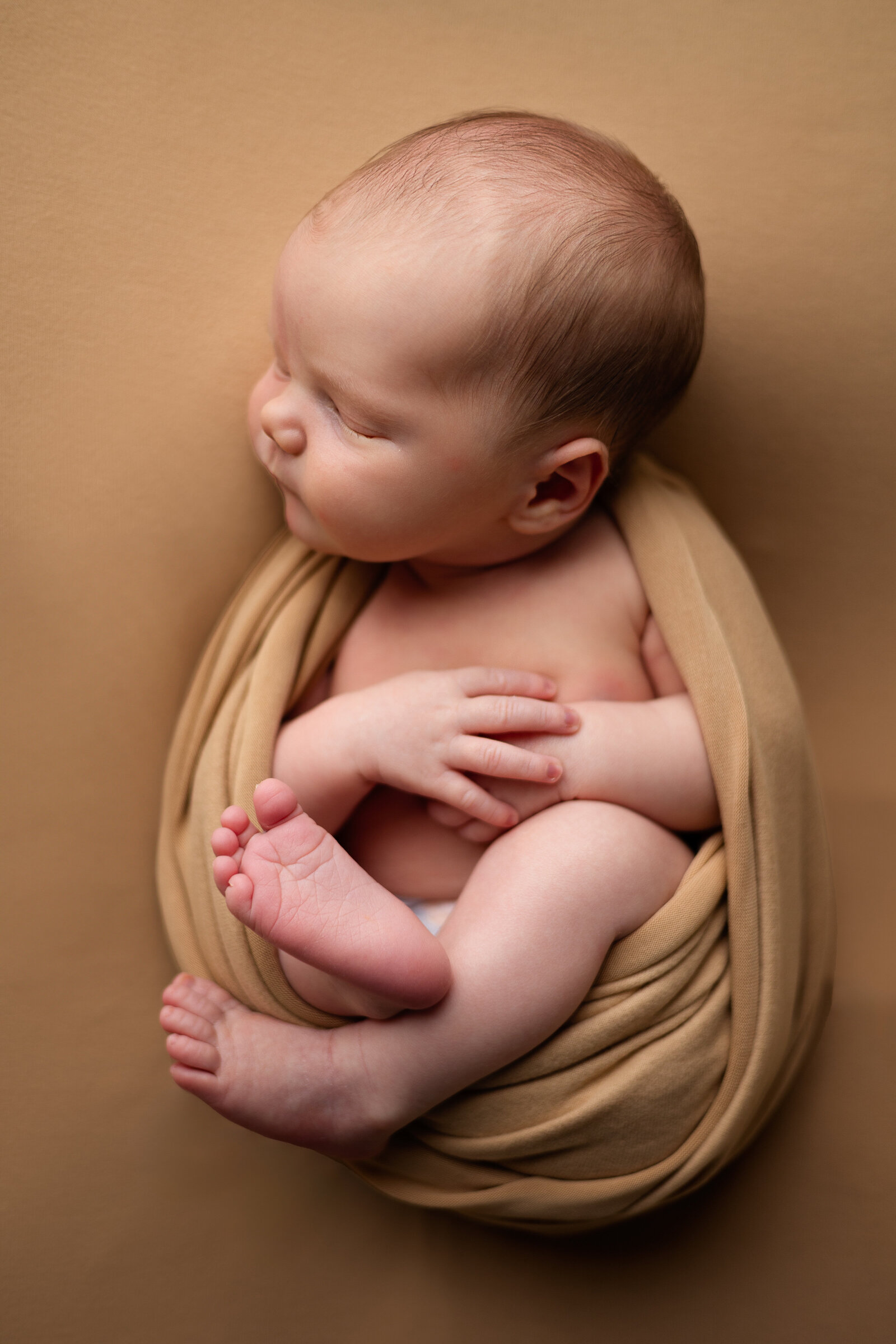 Newborn swaddled in tan wrap and posed on a tan backdrop