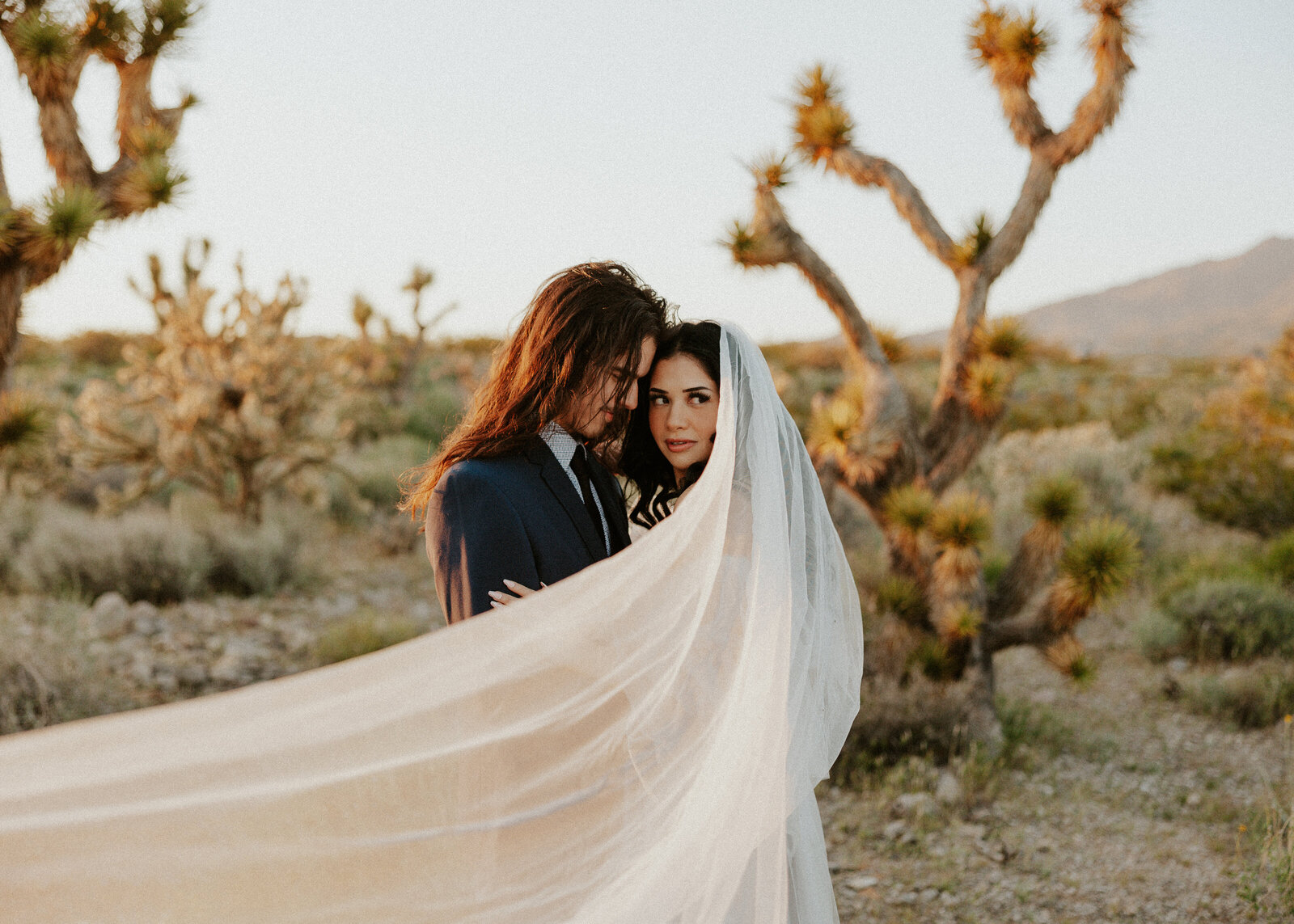 elopement-joshua-tree-national-park-sunset-elopement-utah-elopement-photographer-katie-jo-photo-28