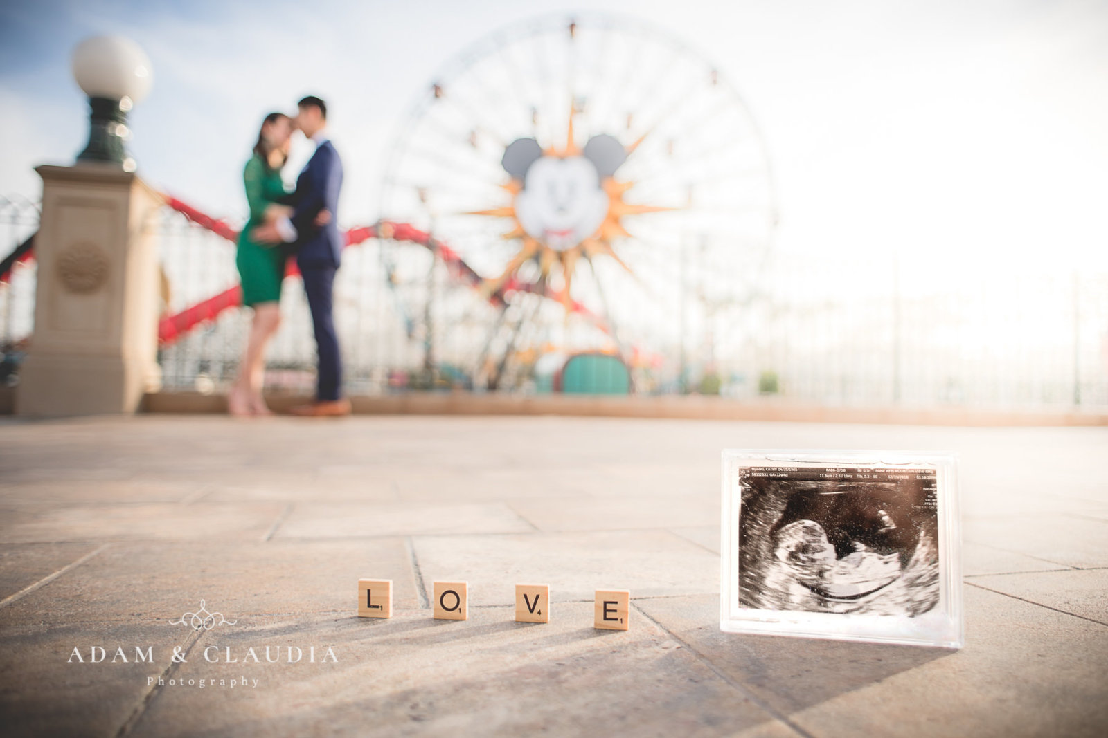 Huang Disneyland Maternity photo 10