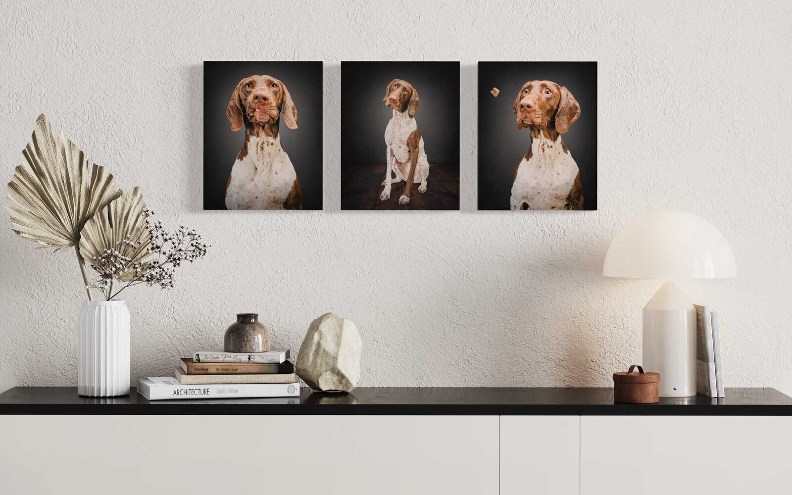 gsp dog portraits in Denver home