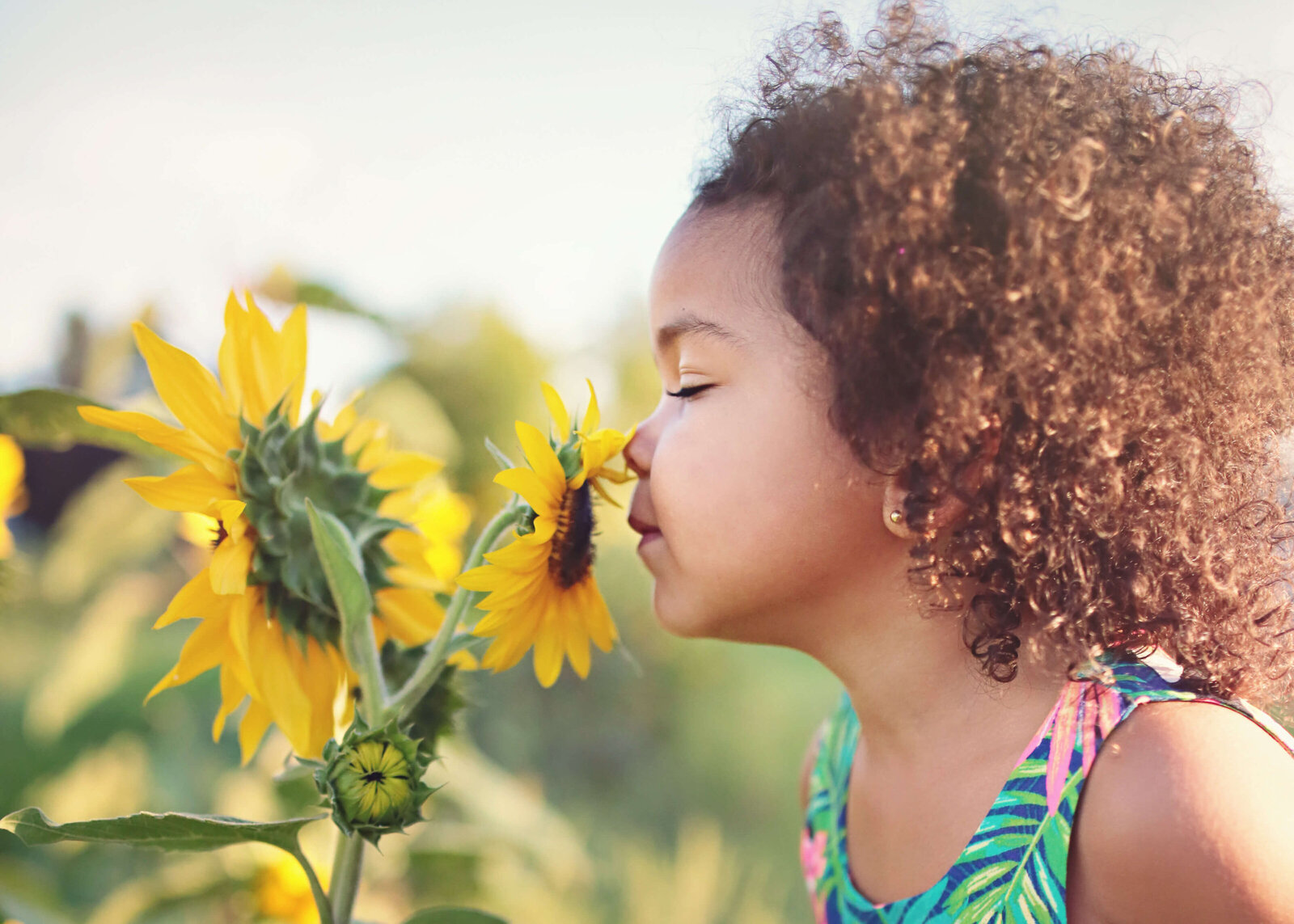 Child smelling sunflower
