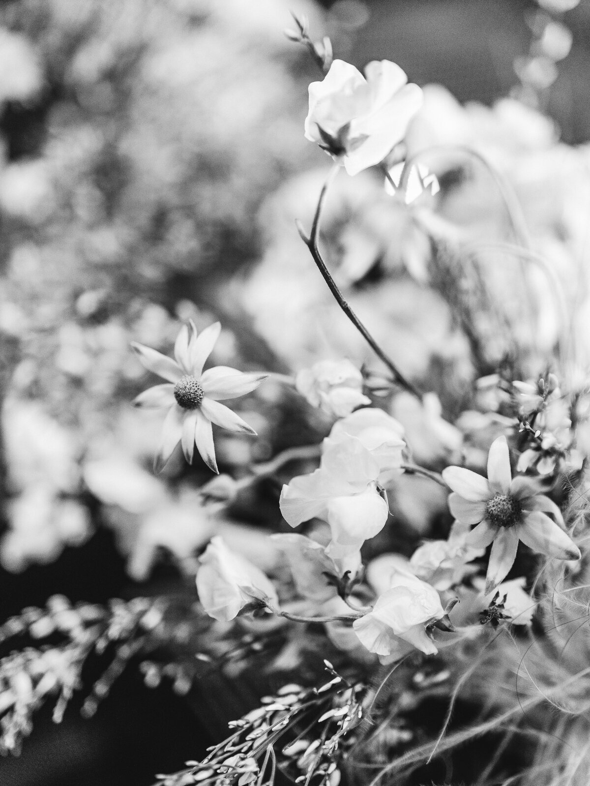04 Alisal Wedding Photograhy