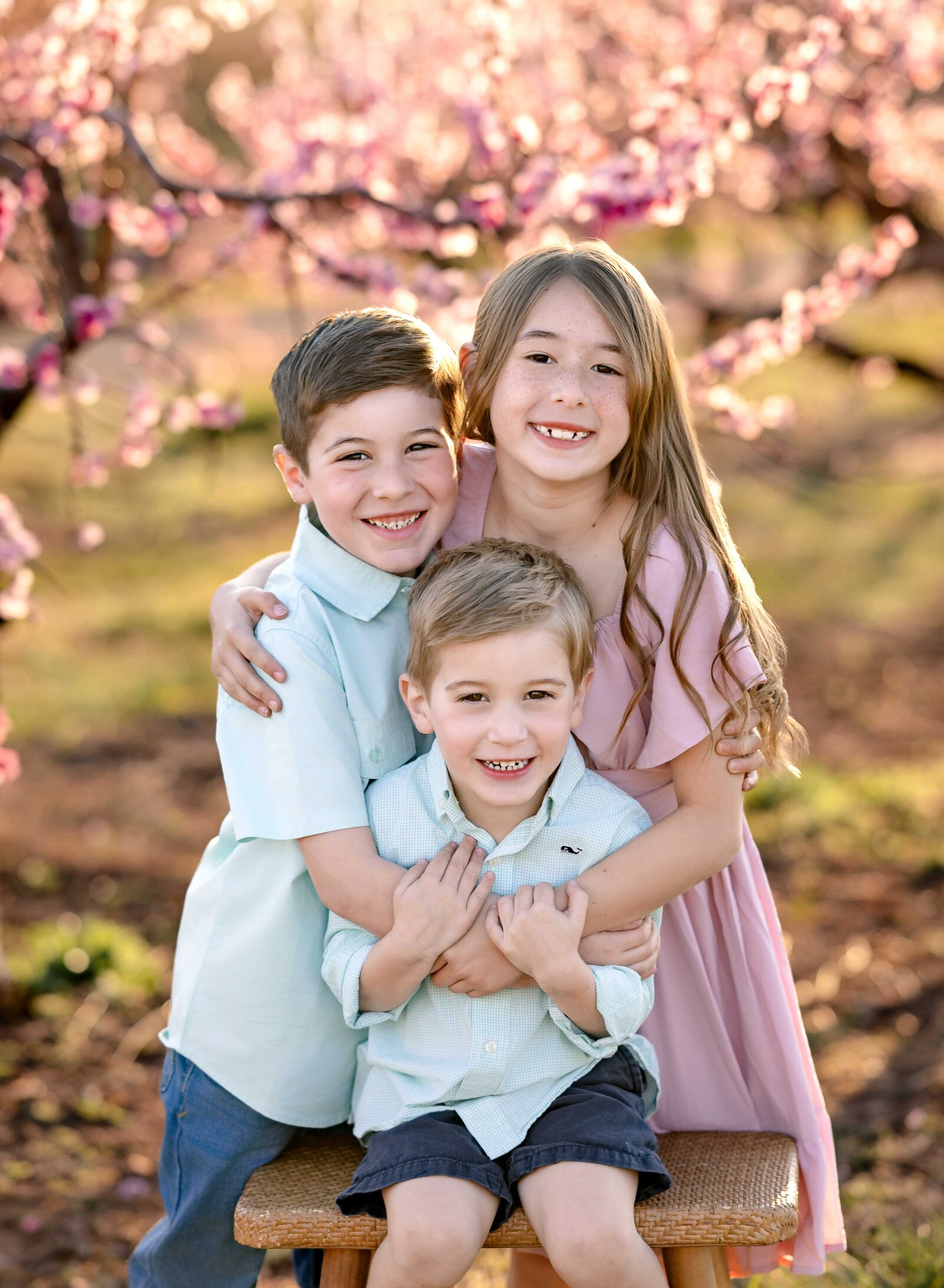 Siblings sitting on bench and hugging, at pink peach blossoms at Ellijay peach orchards near Atlanta, GA. Family photo taken by Jenni Nikki Photography near Atlanta, GA.
