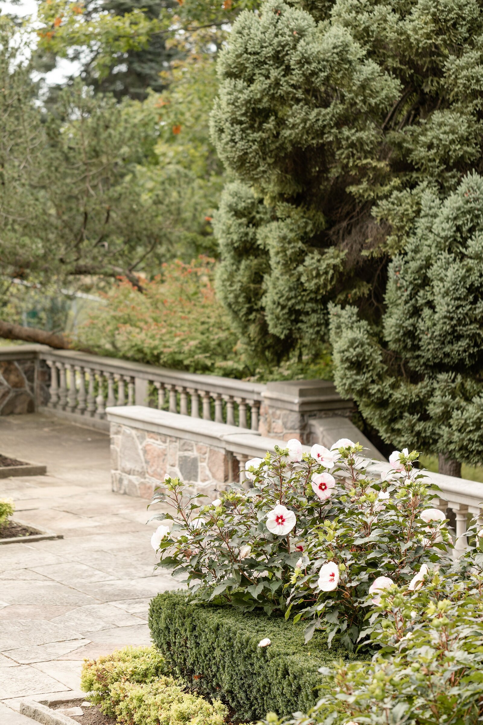 Modern Classic Garden Graydon Hall Wedding | Dylan & Sandra Photography - 0013