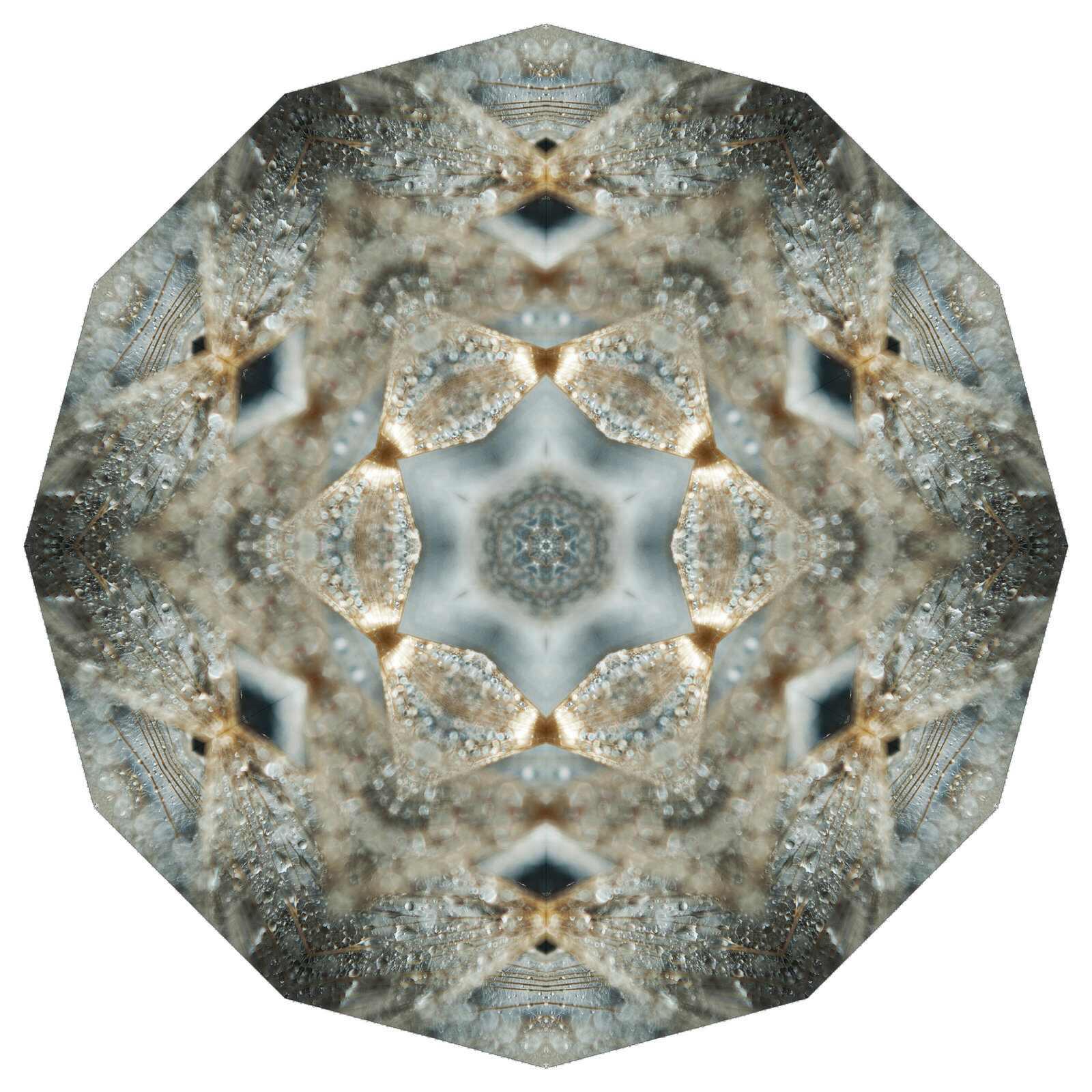 liz-allen-photography-digital-kaleidoscope-art-5