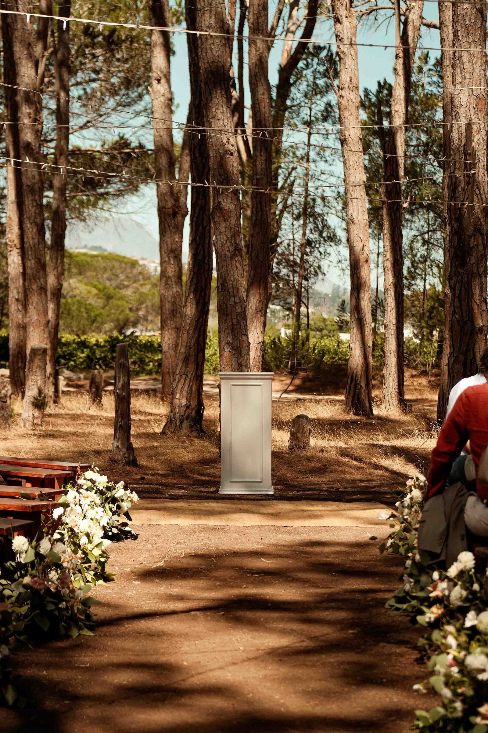 Destination-Wedding-Photographer-Cape-Town-FOMO-Fotografie-41