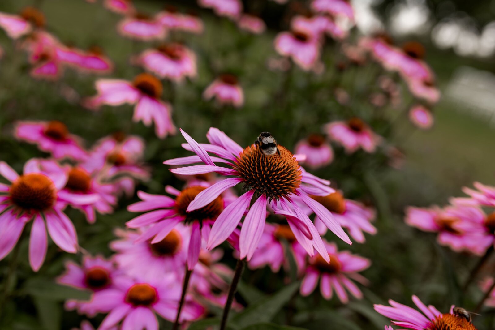 Danielle van Ommen Fotografie - trouwfotograaf Haarlem, Amsterdam, Hoofddorp, Noord Holland (244)
