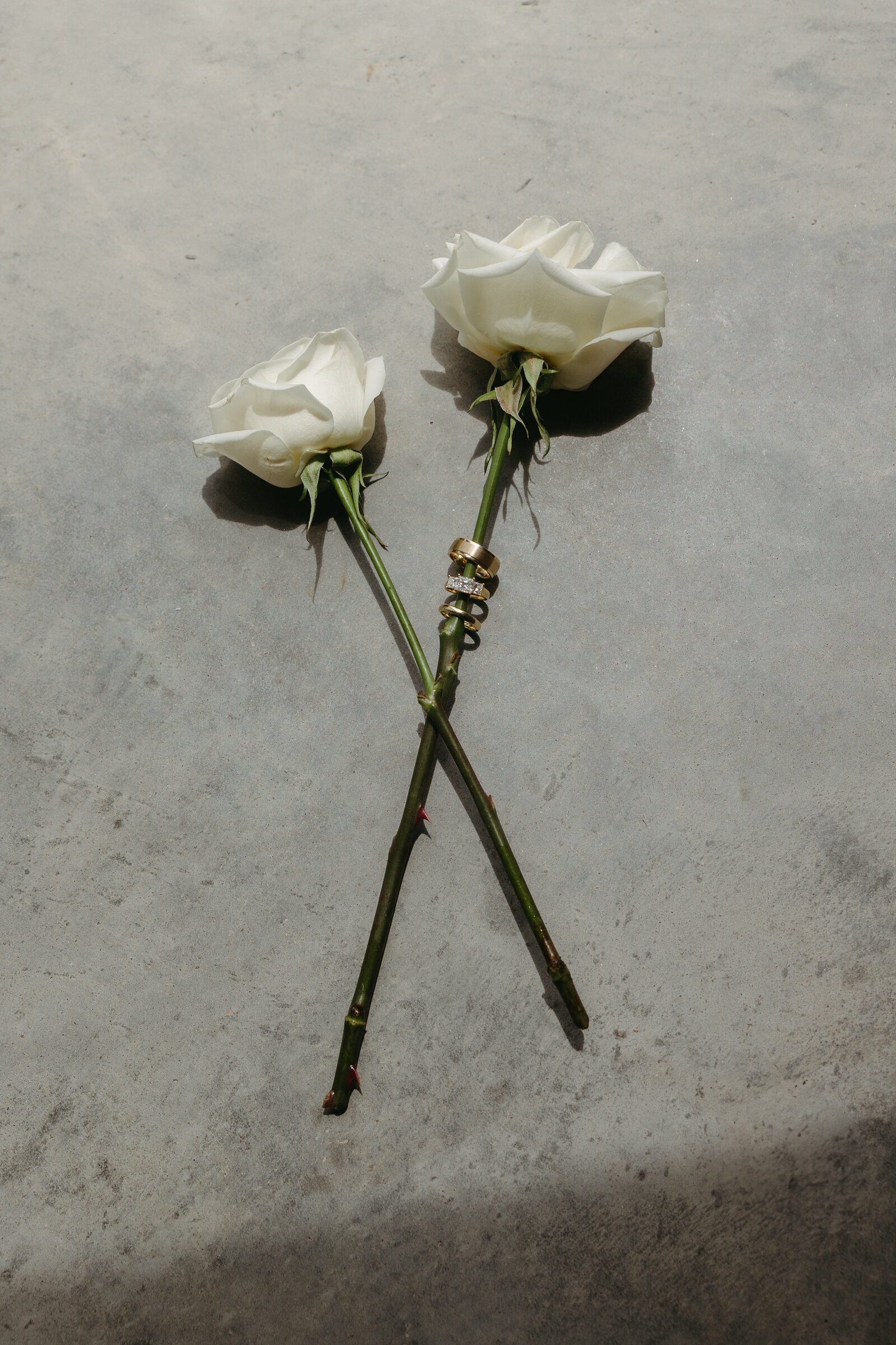 Wedding rings placed thoughtfully on two white roses at Bull Point Estate in Nova Scotia.