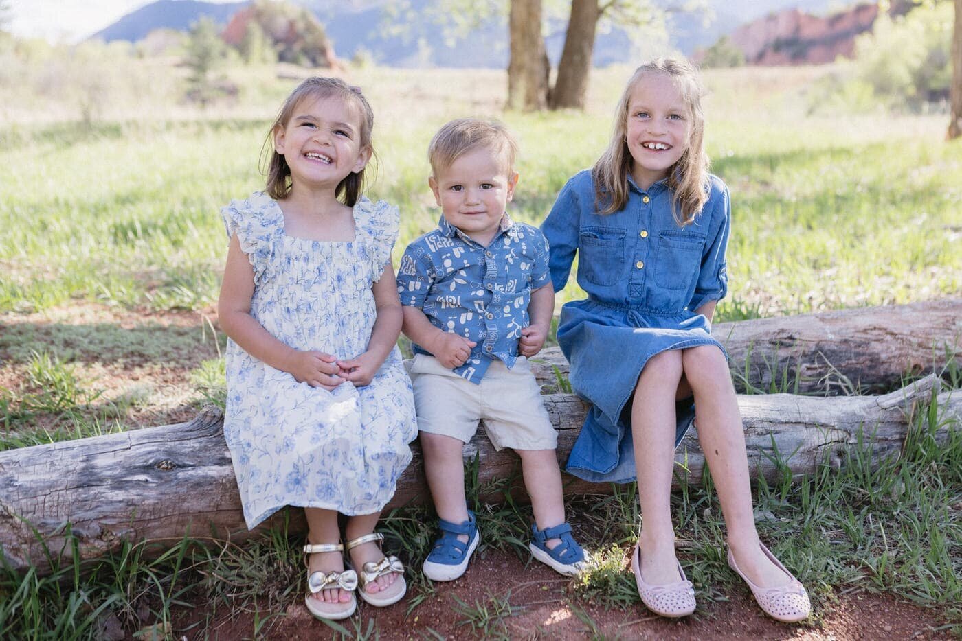 Three siblings sit on a log in a green grassy field giving big smiles to the camera. 