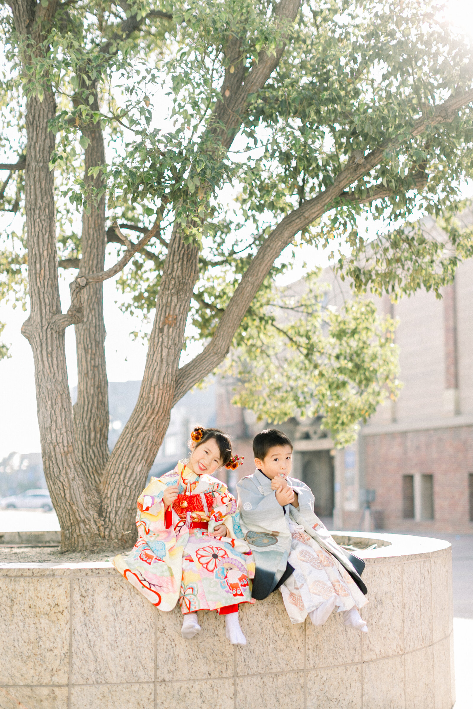 Brother and sister sitting under a tree in colorful kimono for Shichi-Go-San celebration | 七五三 兄妹 着物フォト 木の下