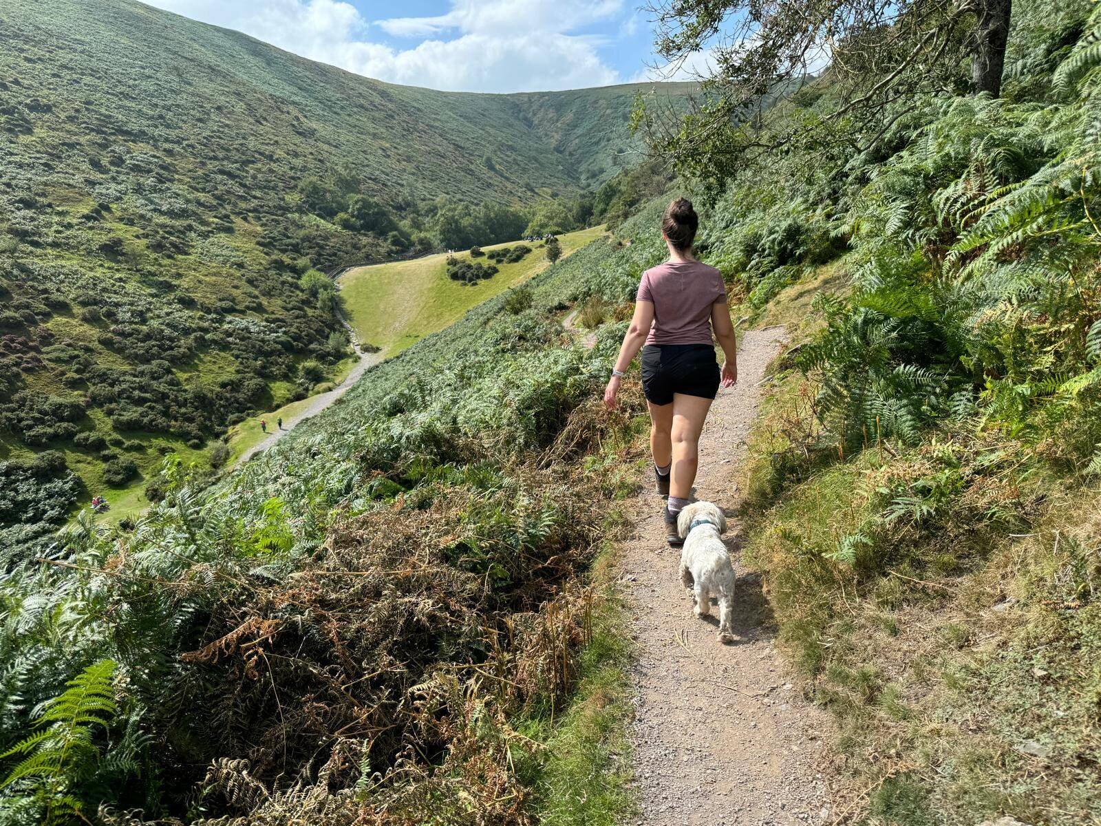 1bb20dc6-3d0c-4ba0-939a-5a60e320e09f