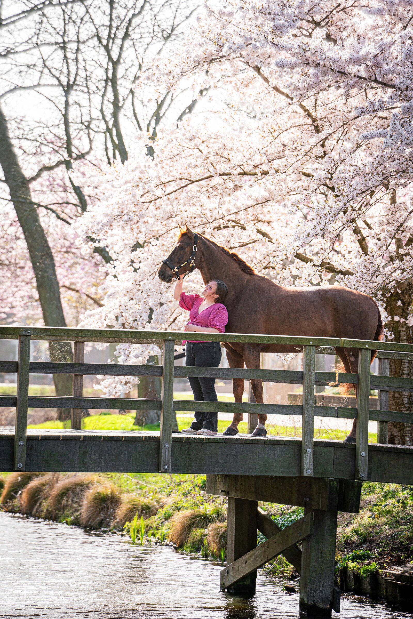 Bloesemfoto door Cheyenne Vlottes (3)