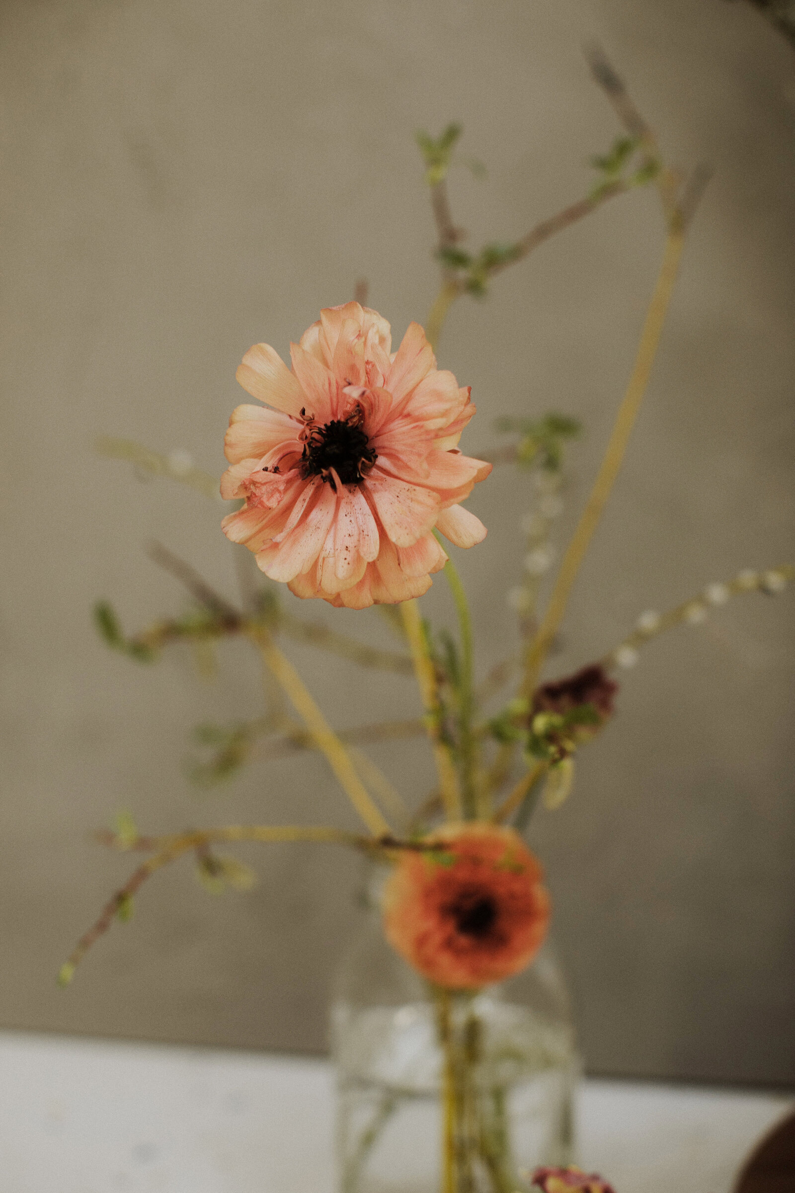 Hazel Avenue_014