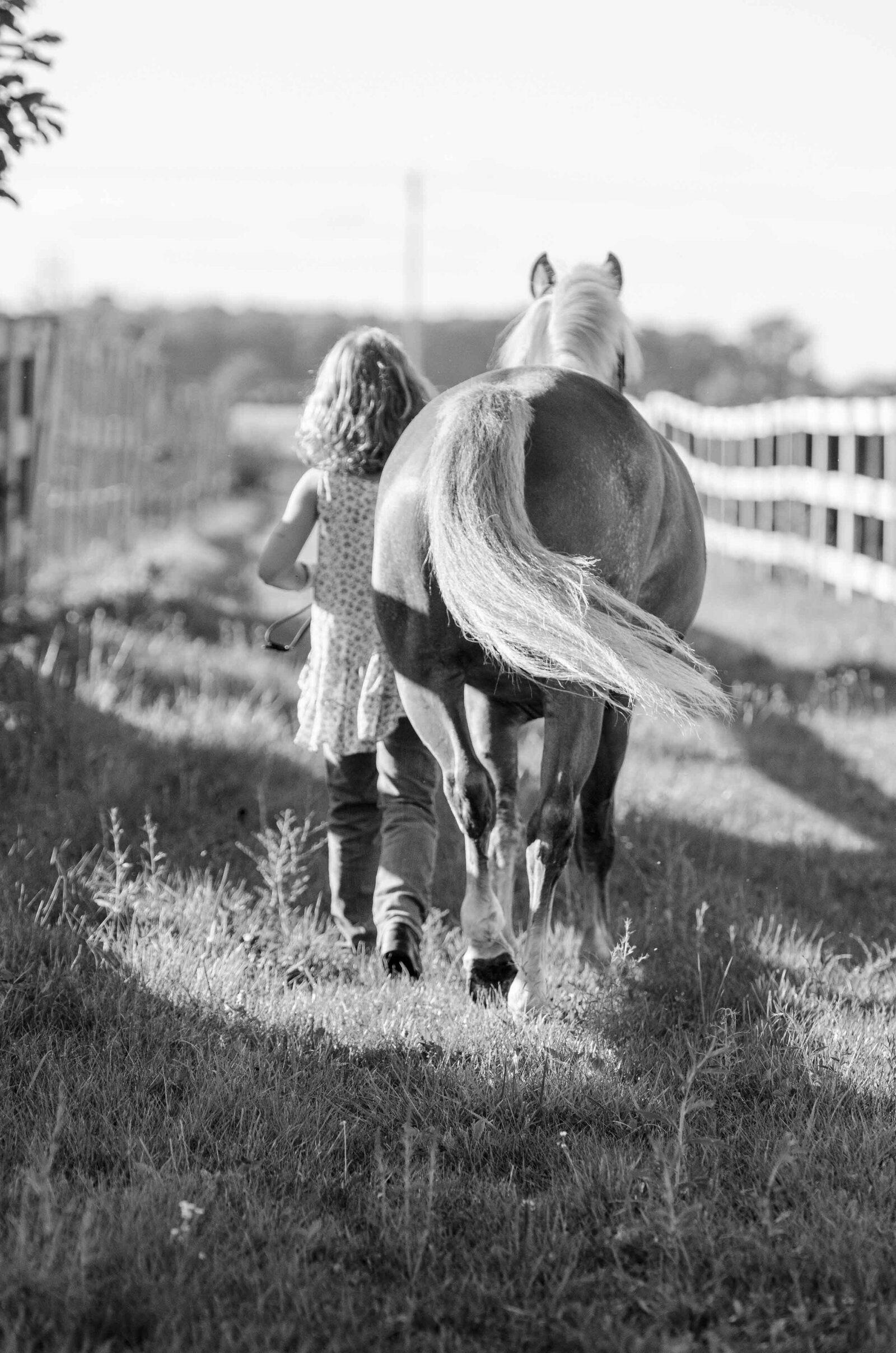 Hilton-Head-Island-Equestrian–Photography_7