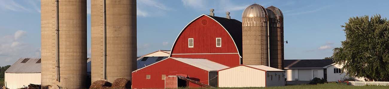 Banner-Farm