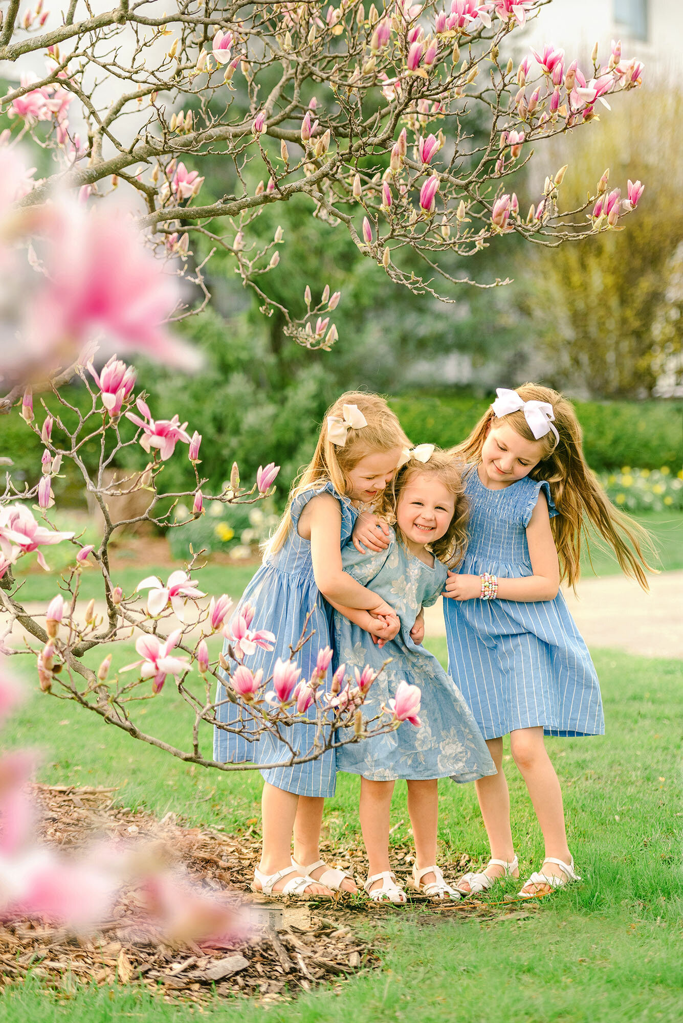 Three young sisters tickling each other next to a pink magnolia tree by Chicago family photographer Kristen Hazelton