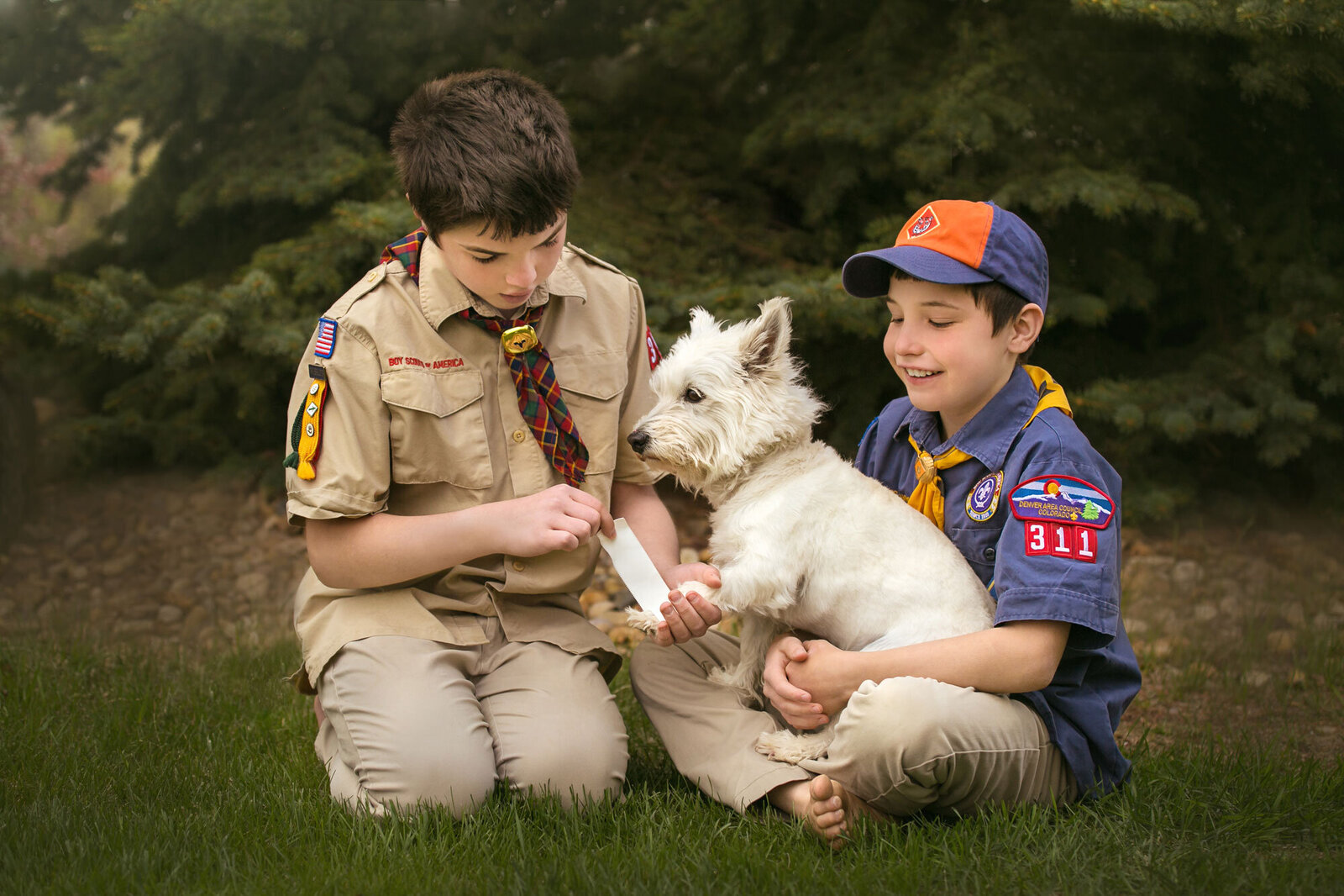 norman-rockwell-boys-brothers-bandage-dog-paw-boy-scouts-westie-vintage-childhood