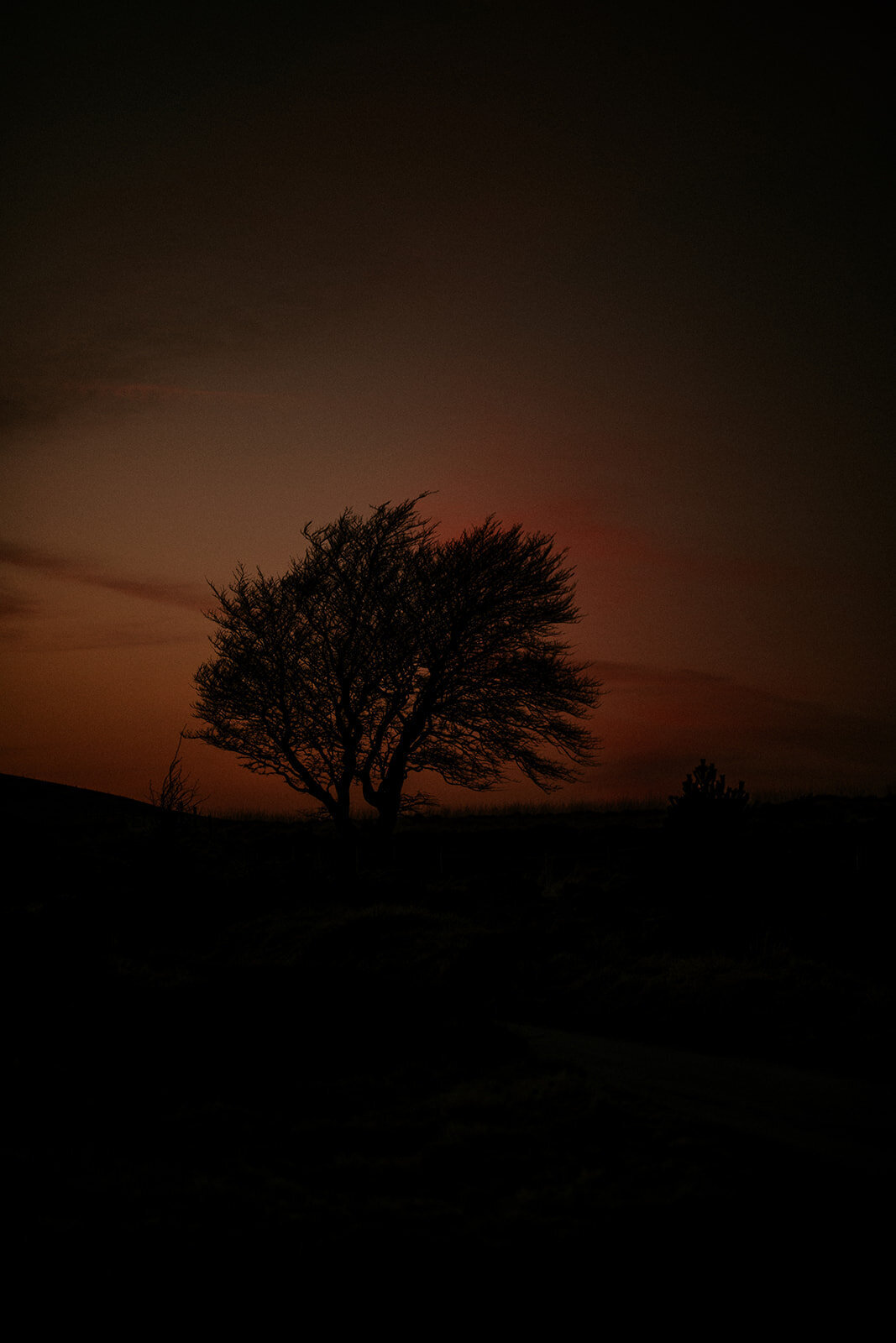 Sarah and James - The Goyt Valley -313_websize