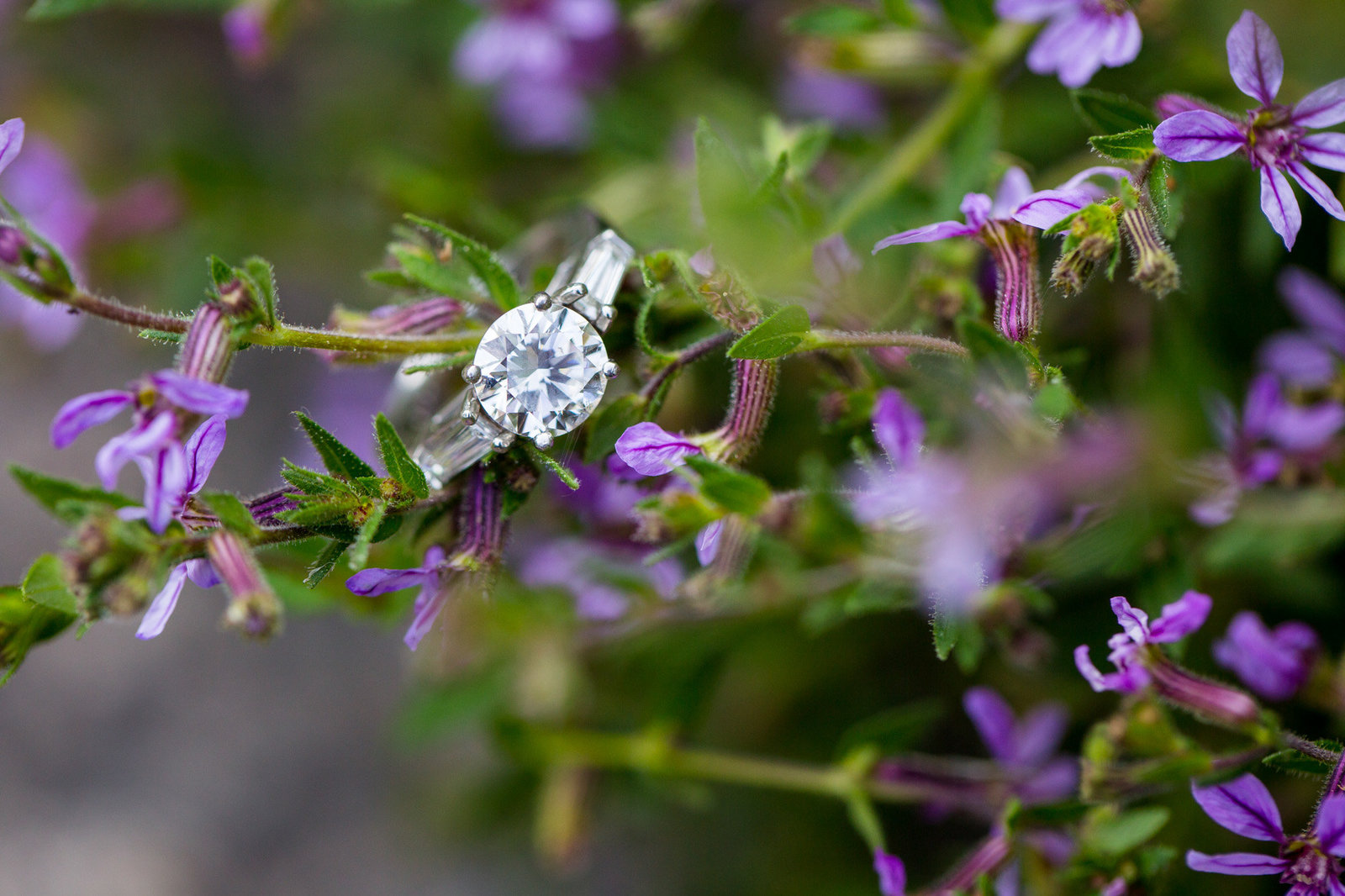 atlanta-botanical-gardens-engagement-88