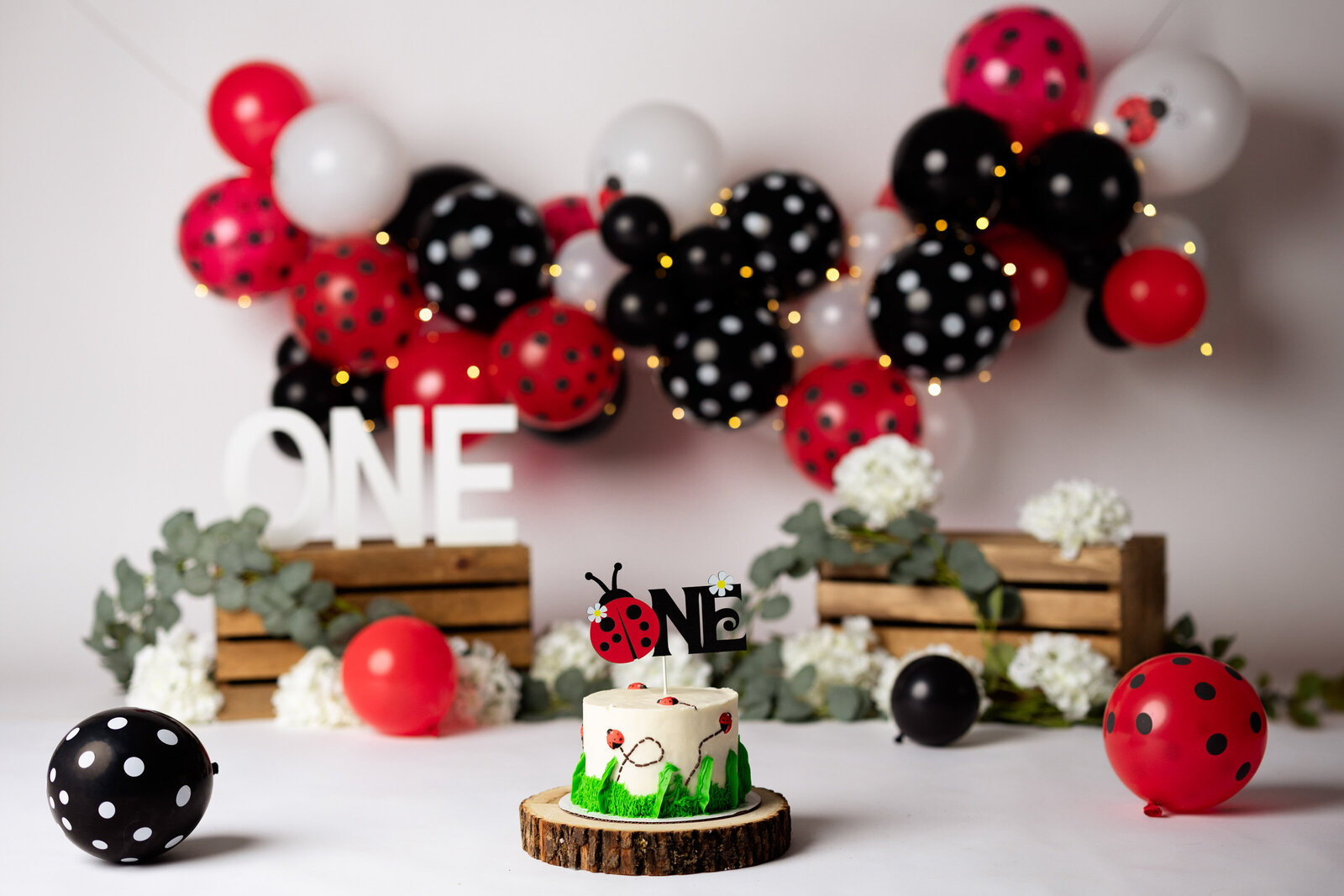 Lady bug themed milestone session balloon garland and cake