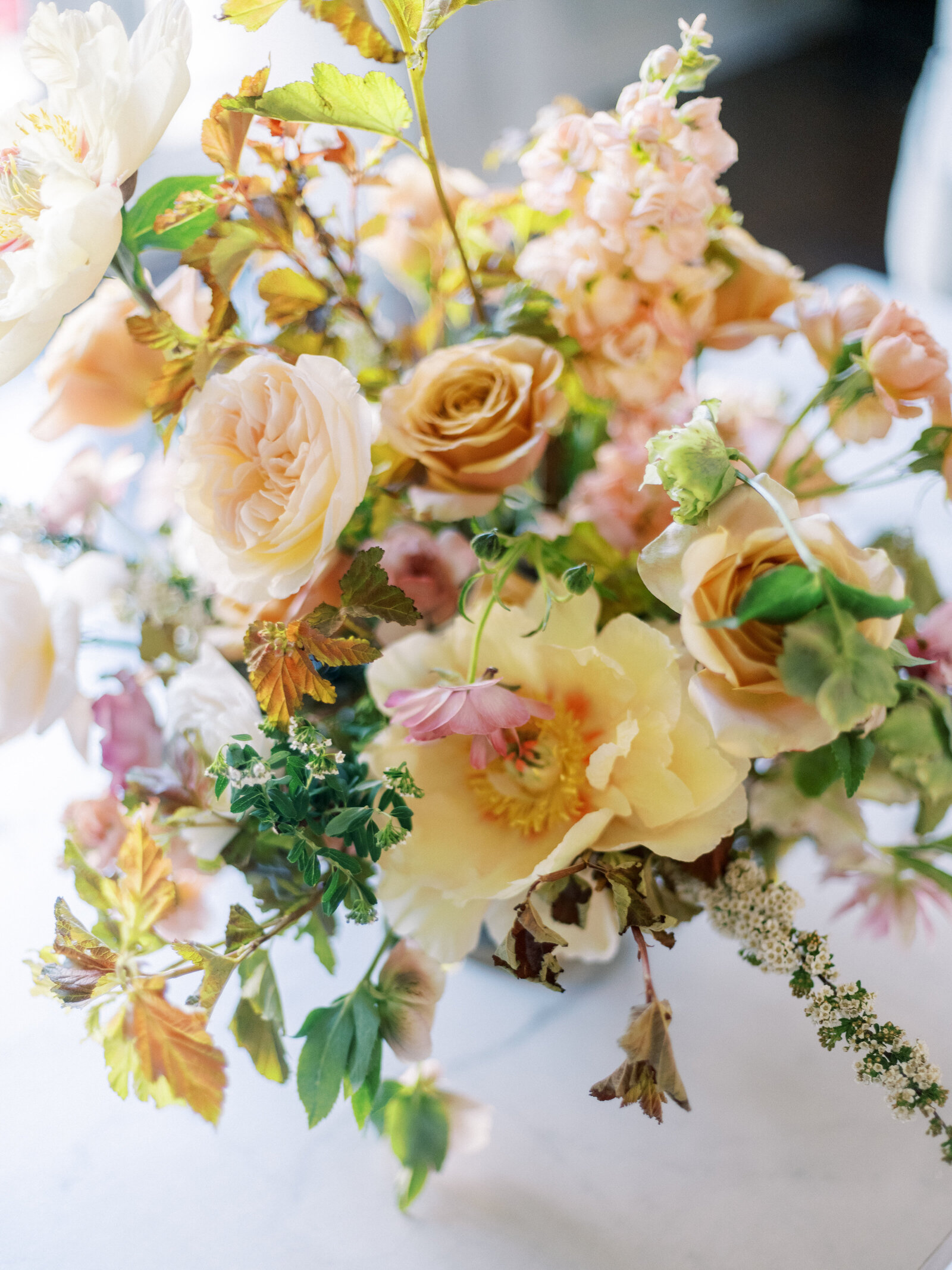 chateau-noland-wedding-photos-014