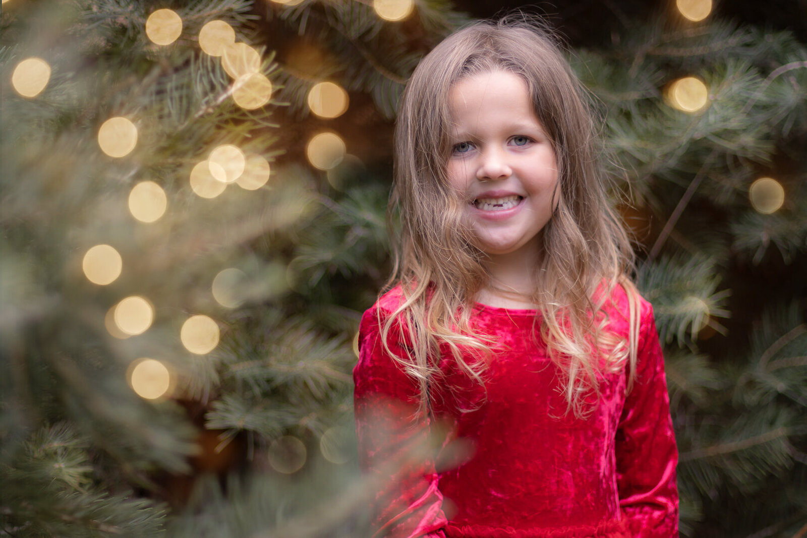2022Christmas-in-the-trees_family-photography_renees-photography-designs_natural-lights_SM-