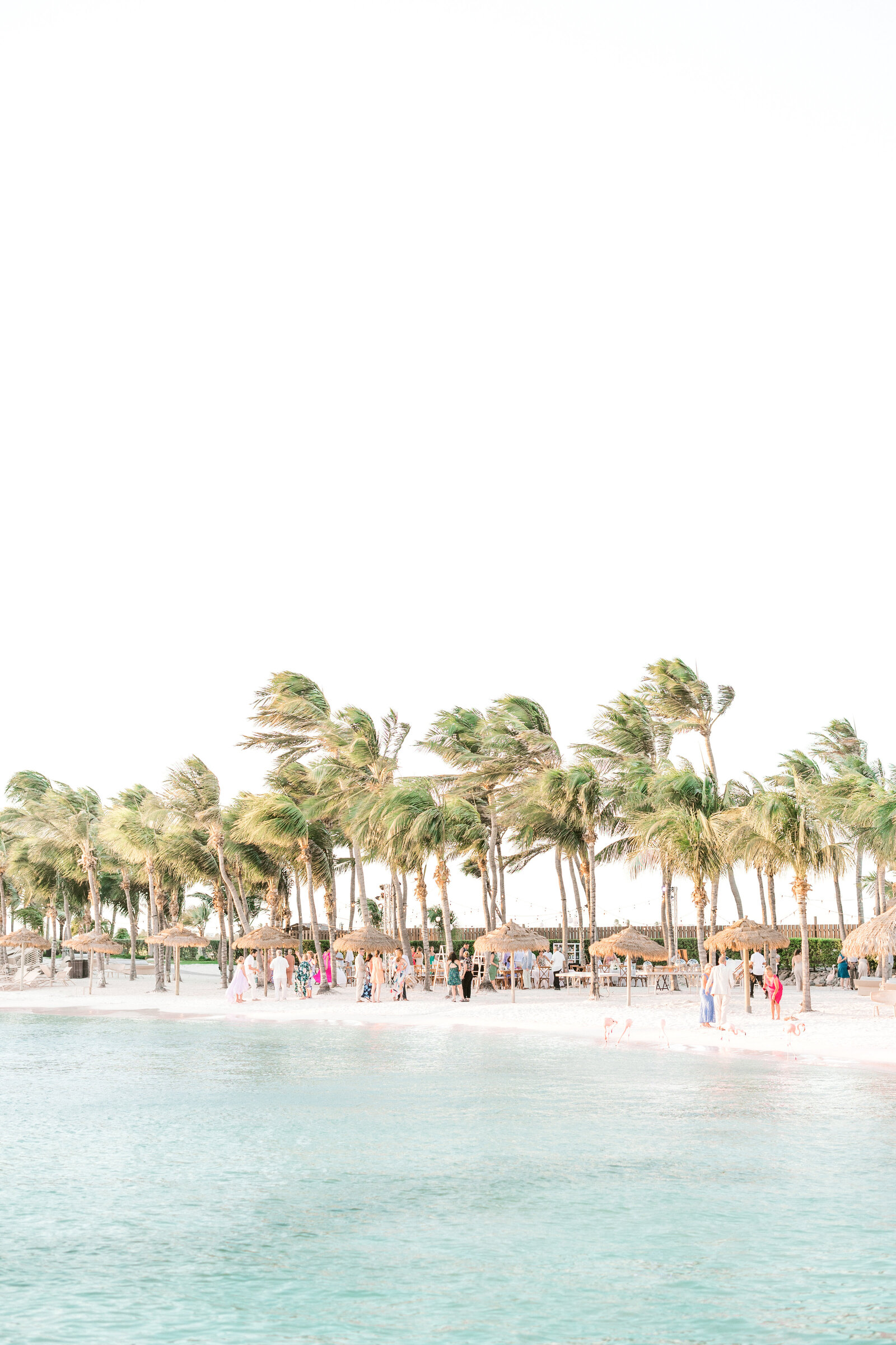 Susan Elizabeth Photography Florida Golf Coast Wedding Photographer Florida West Coast Sarasota Naples Keys New Jersey East Coast Weddings Engagements Photos Luxury Coastal Weddings169