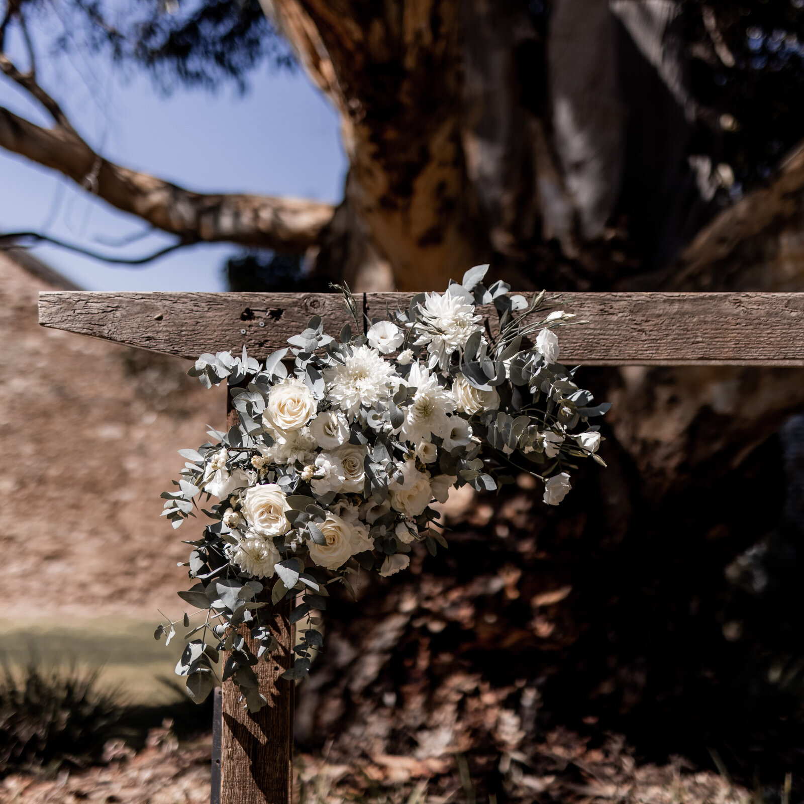 Caitlin-Reece-Rexvil-Photography-Adelaide-Wedding-Photographer-106