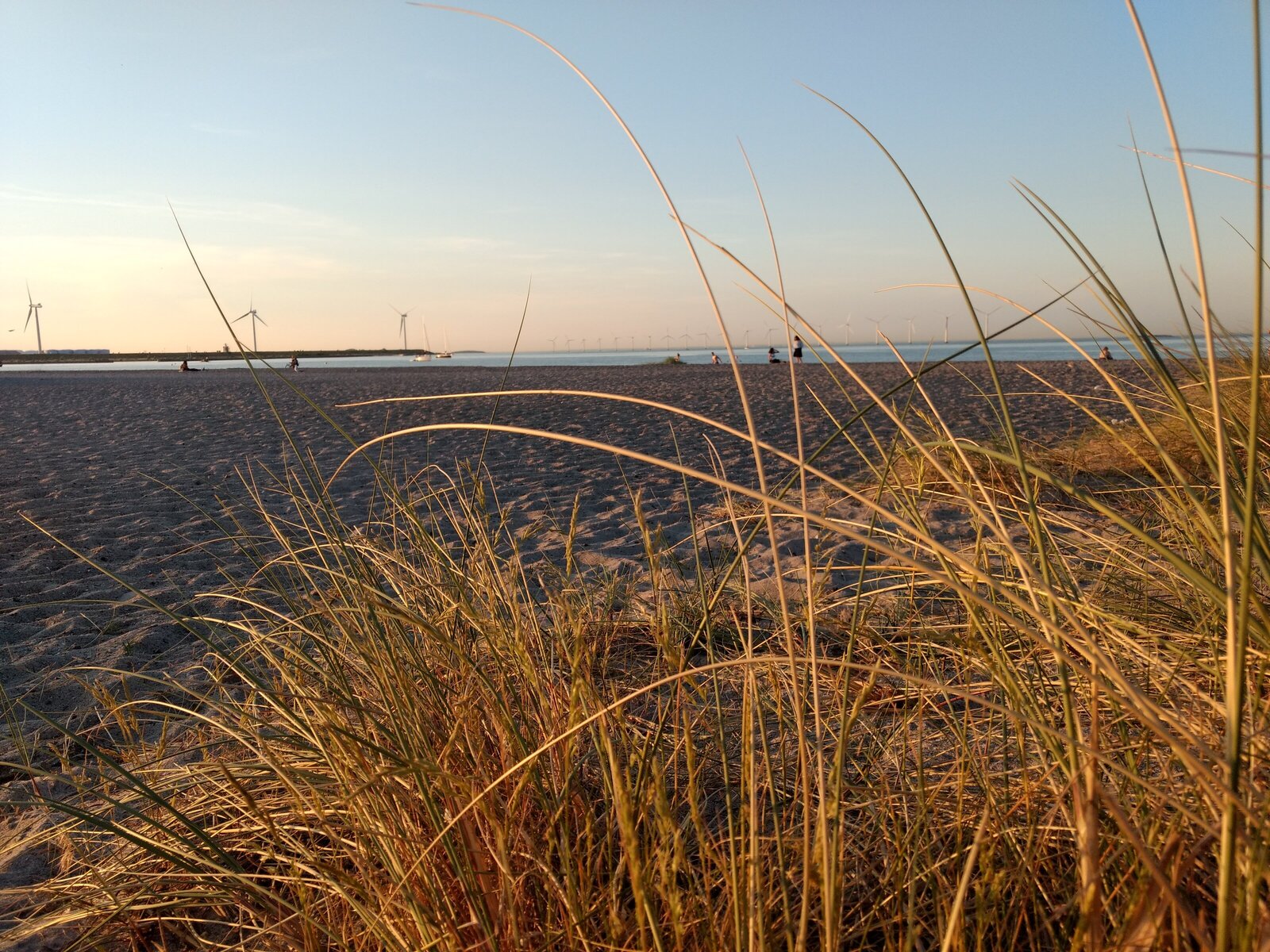 Pale summer sunset at beach