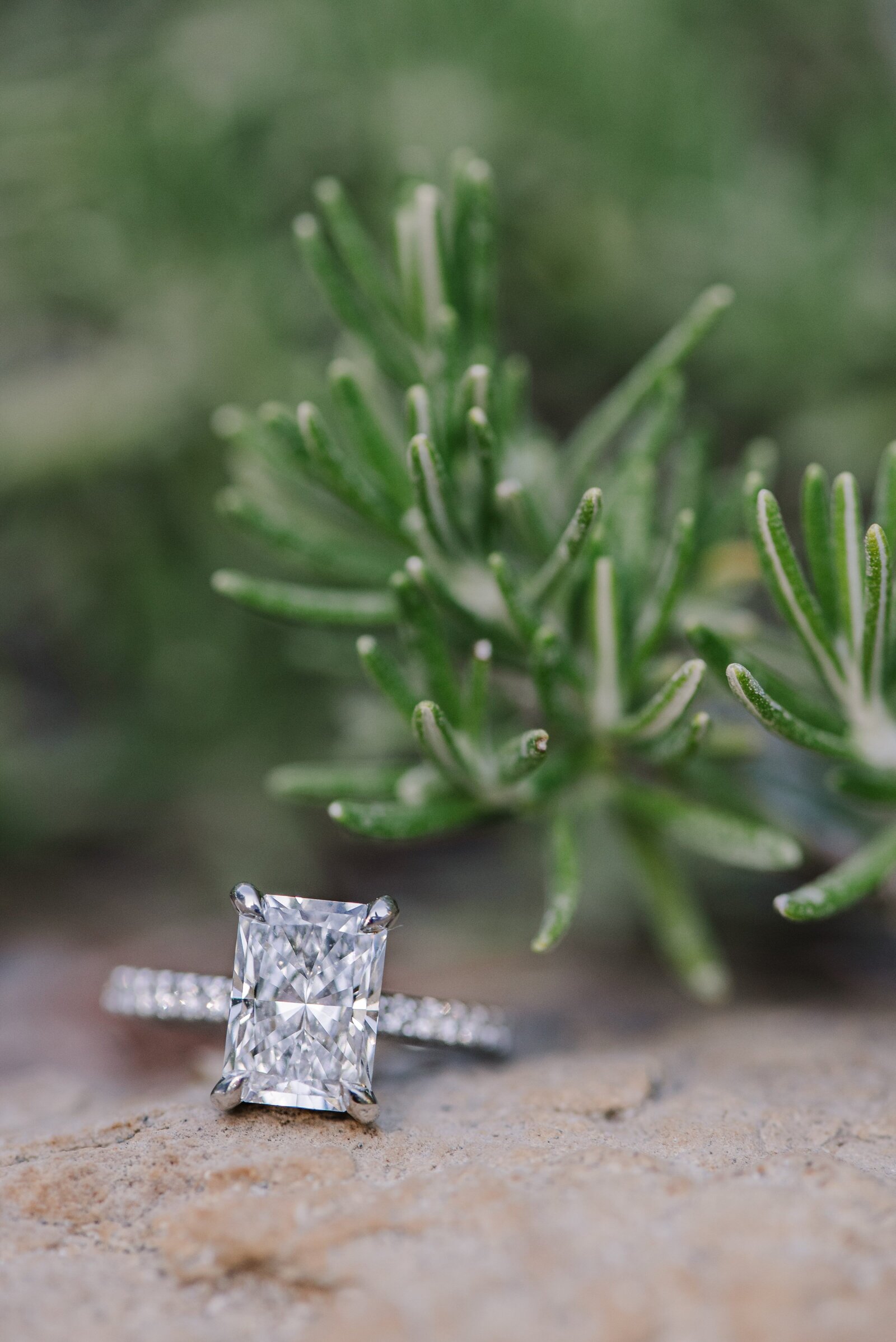 D+K Proposal by Nikkels Photography-172