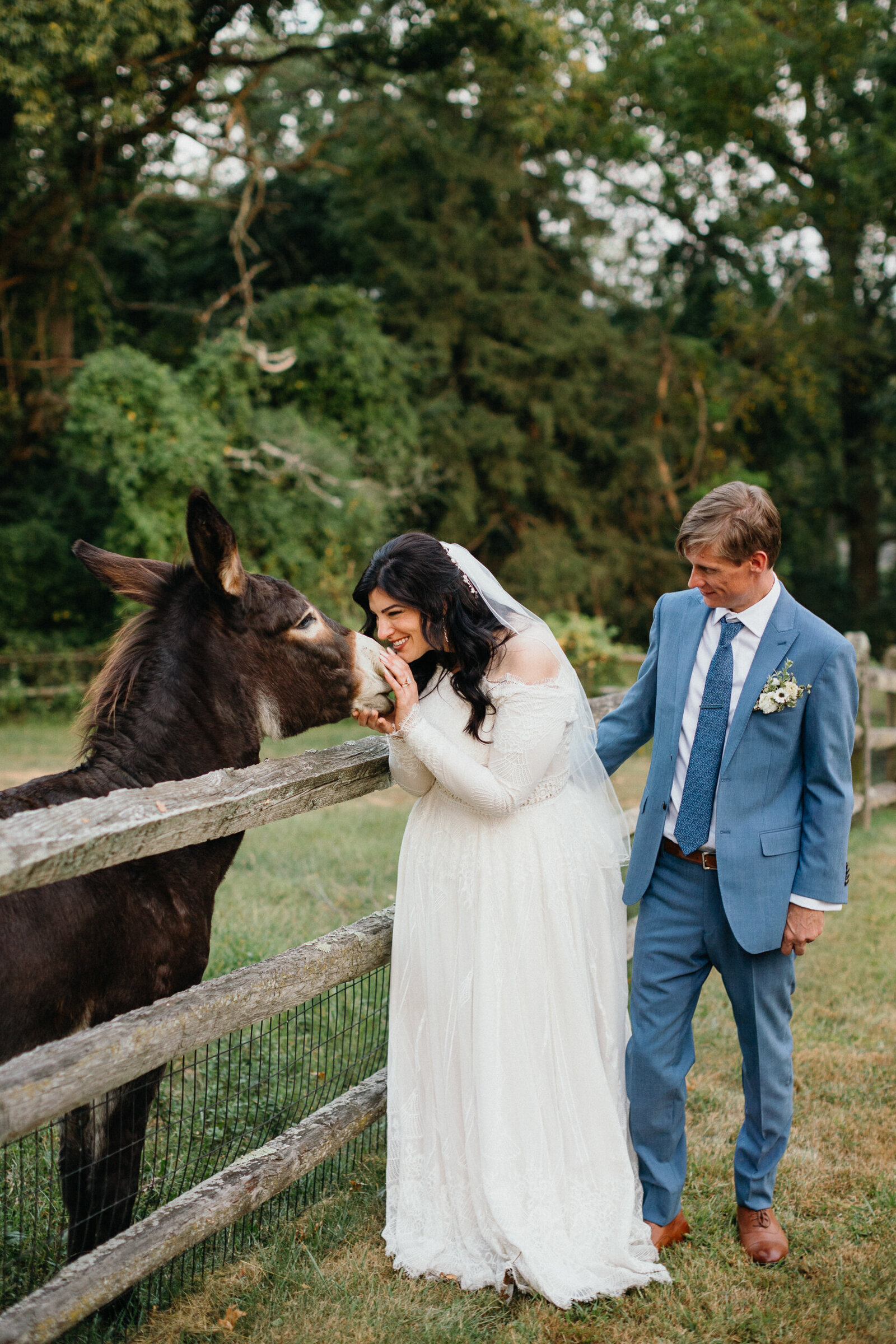 grace winery wedding with horses and donkeys