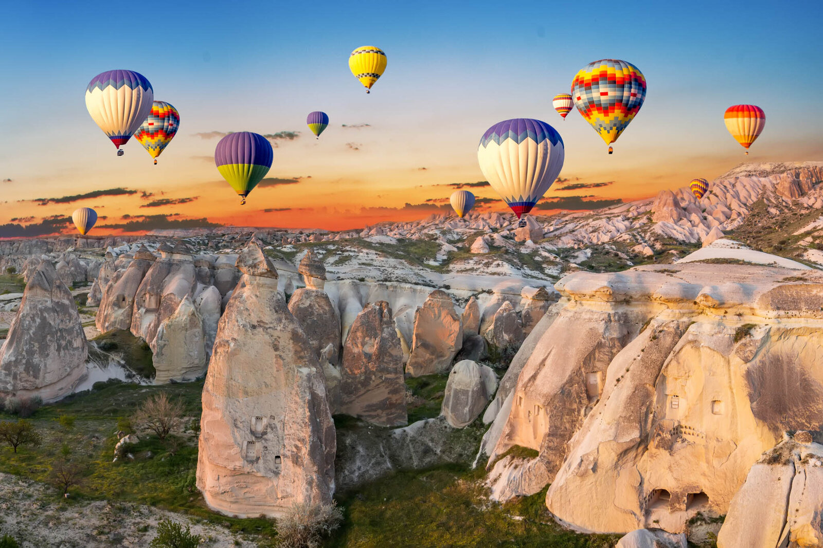Abeona Travel-2