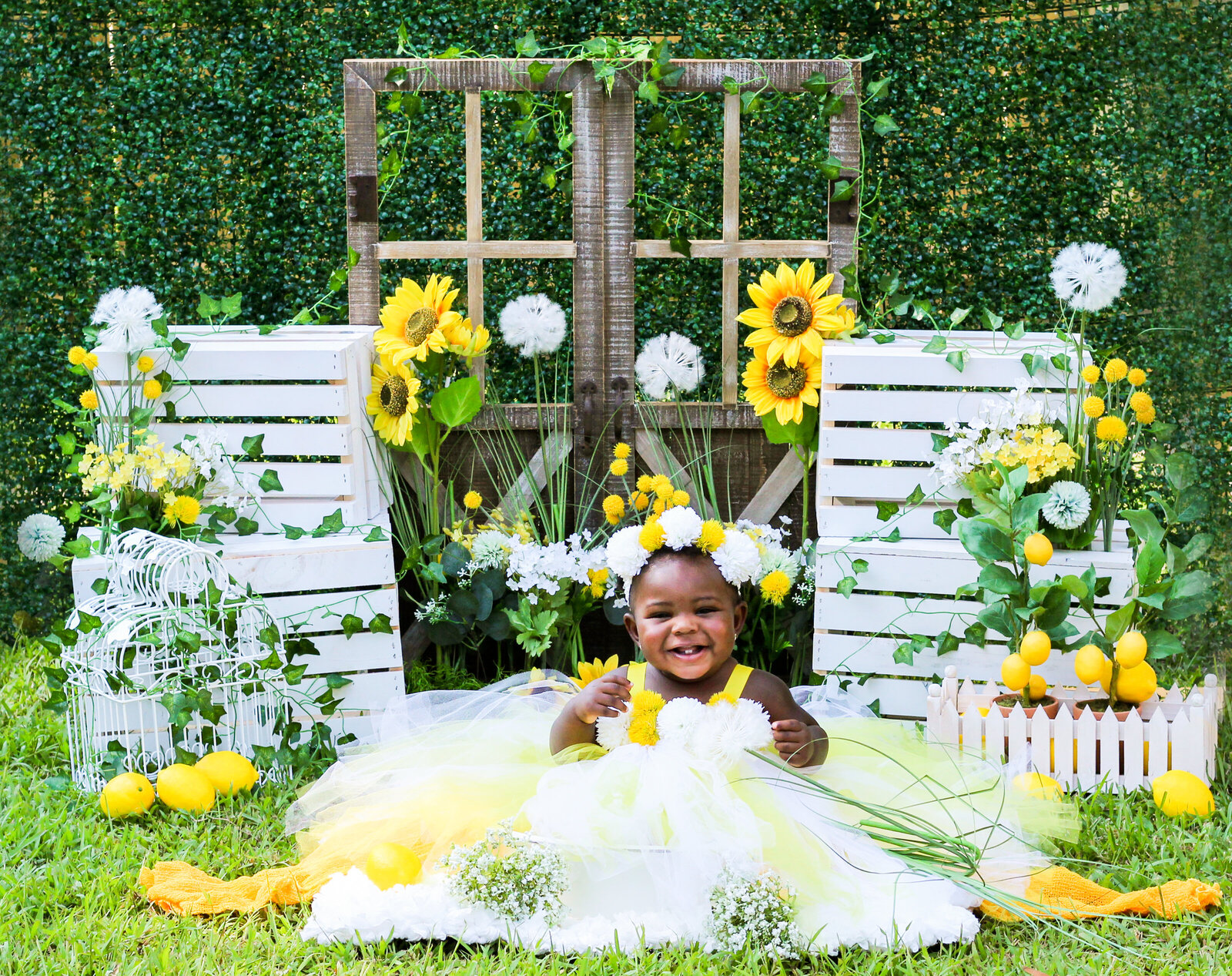 little girl dressed in yellow and white backdrop filled with sunflowers , dandelions, lemons, hedge wall, and barn doors