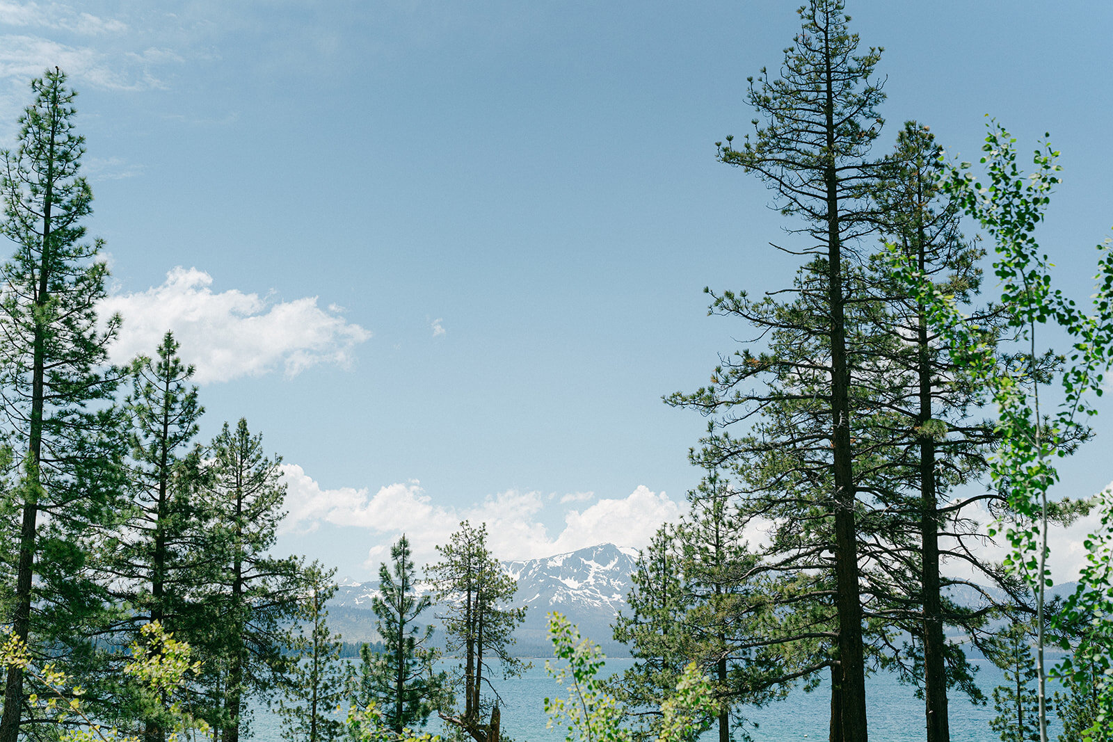 edgewood-lake-tahoe-wedding-Edgewood_laketahoe_wedding-K+M-123